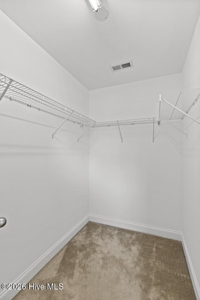 408 Canvasback Lane Property Photo 27