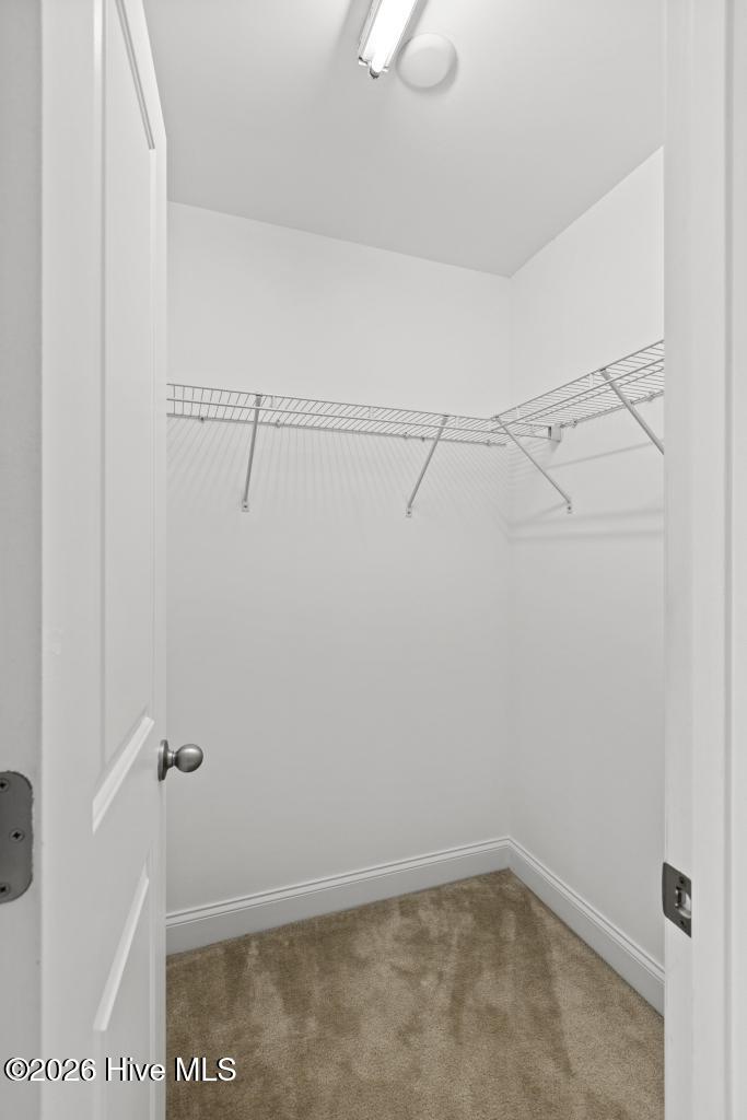 408 Canvasback Lane Property Photo 28