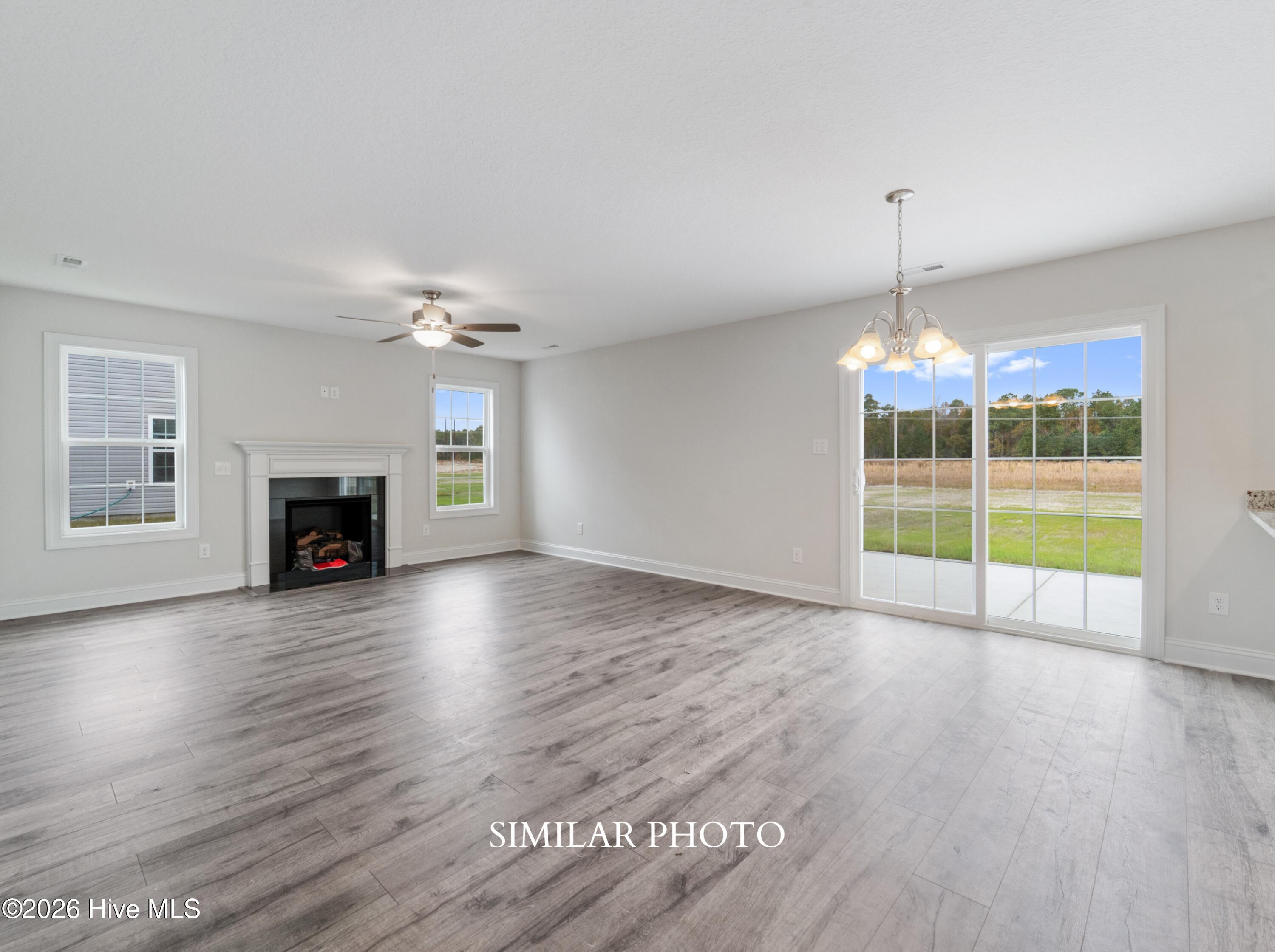115 Twisted Vine Boulevard Property Photo 4