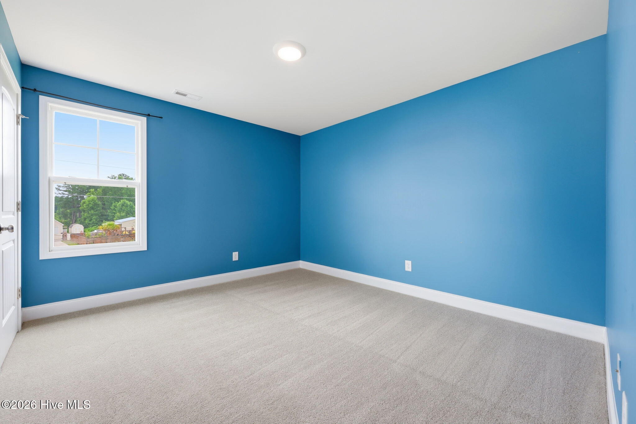 164 Leach Creek Drive Property Photo 43