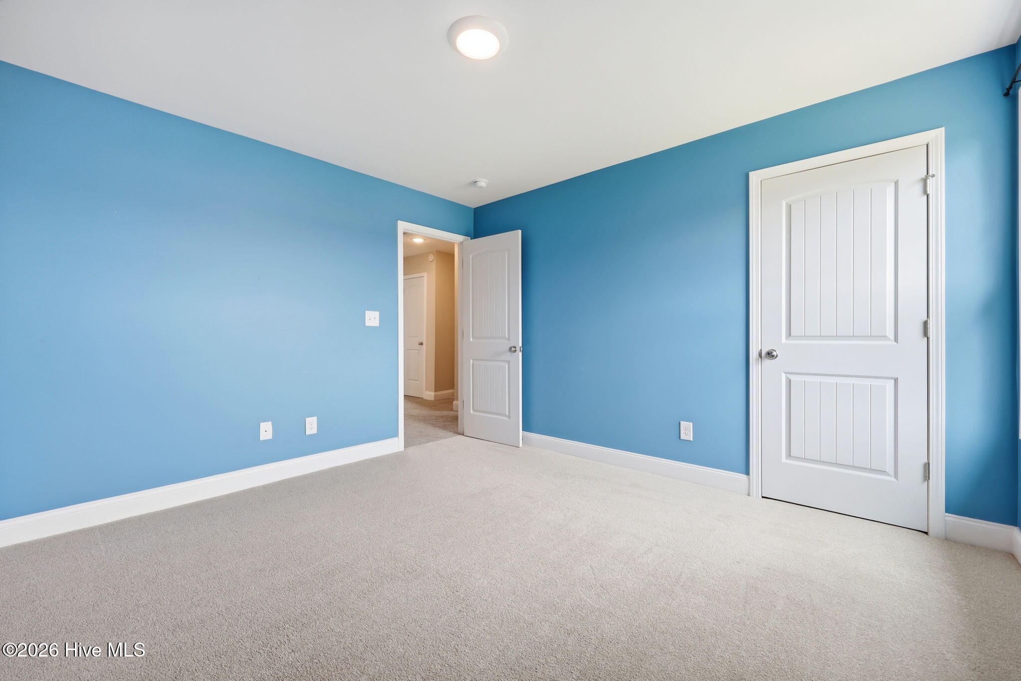 164 Leach Creek Drive Property Photo 44