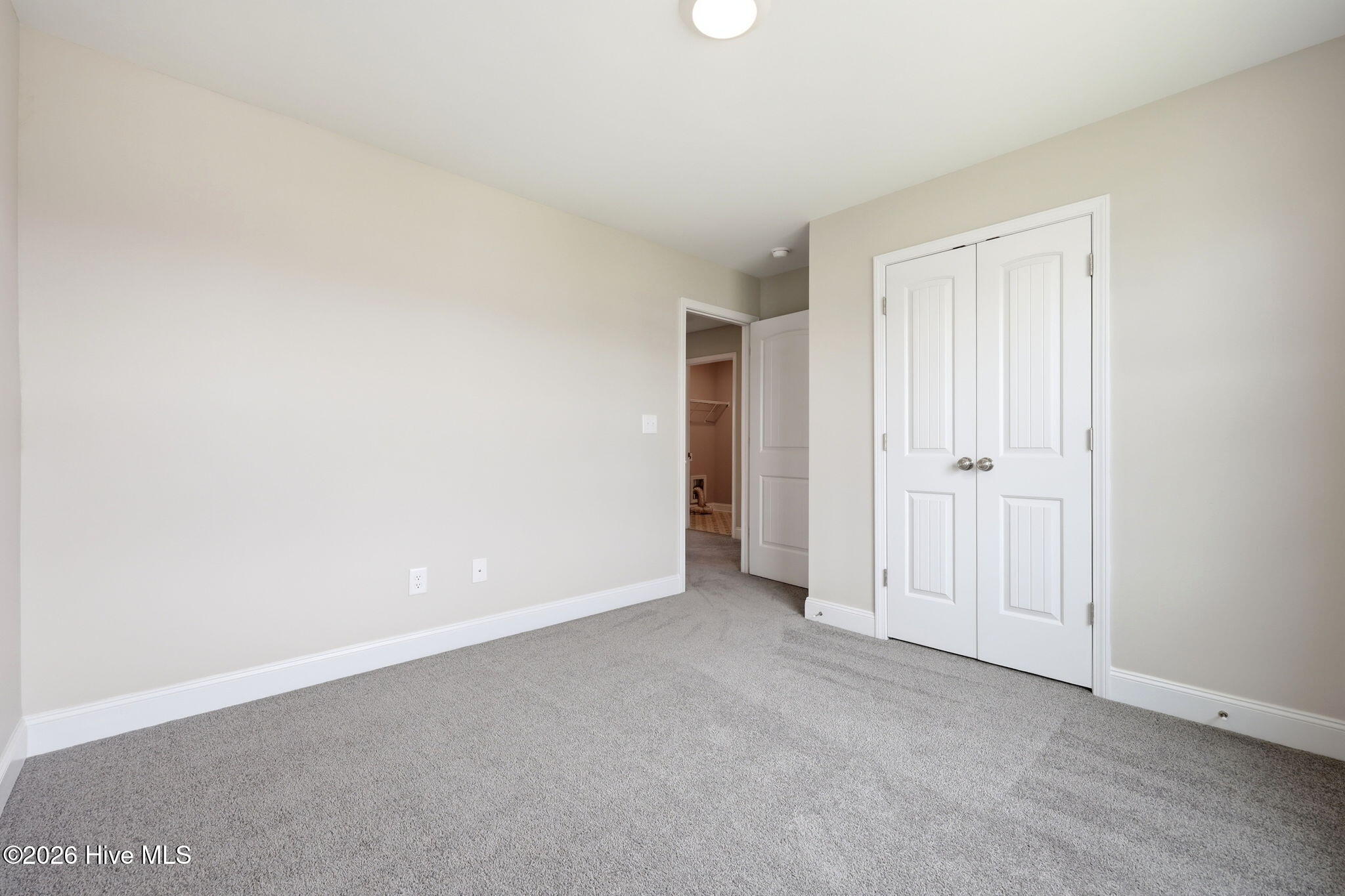 164 Leach Creek Drive Property Photo 49