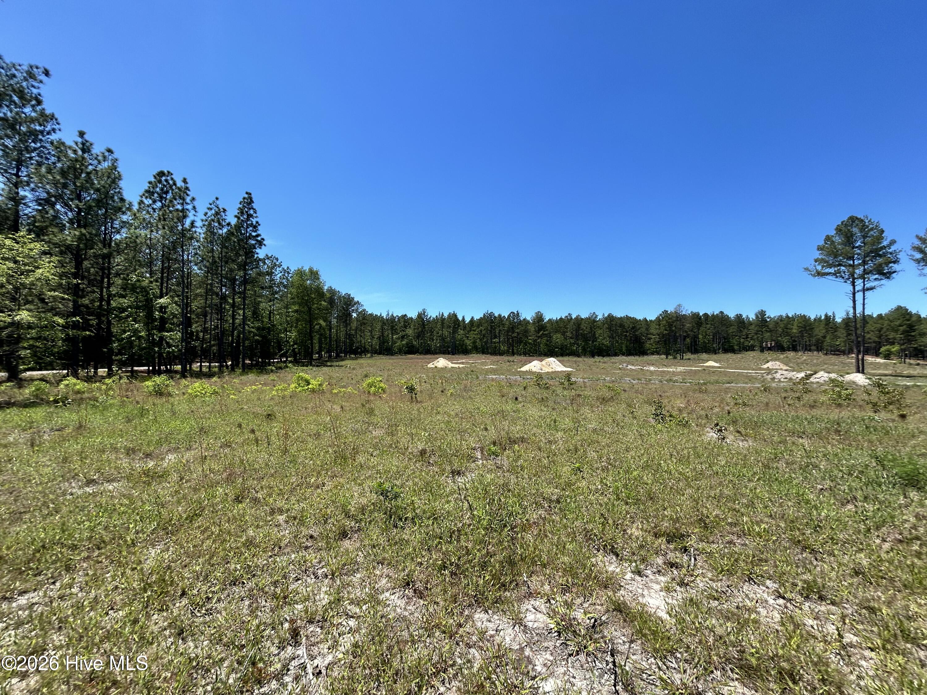 461 Lally Circle Property Photo 2