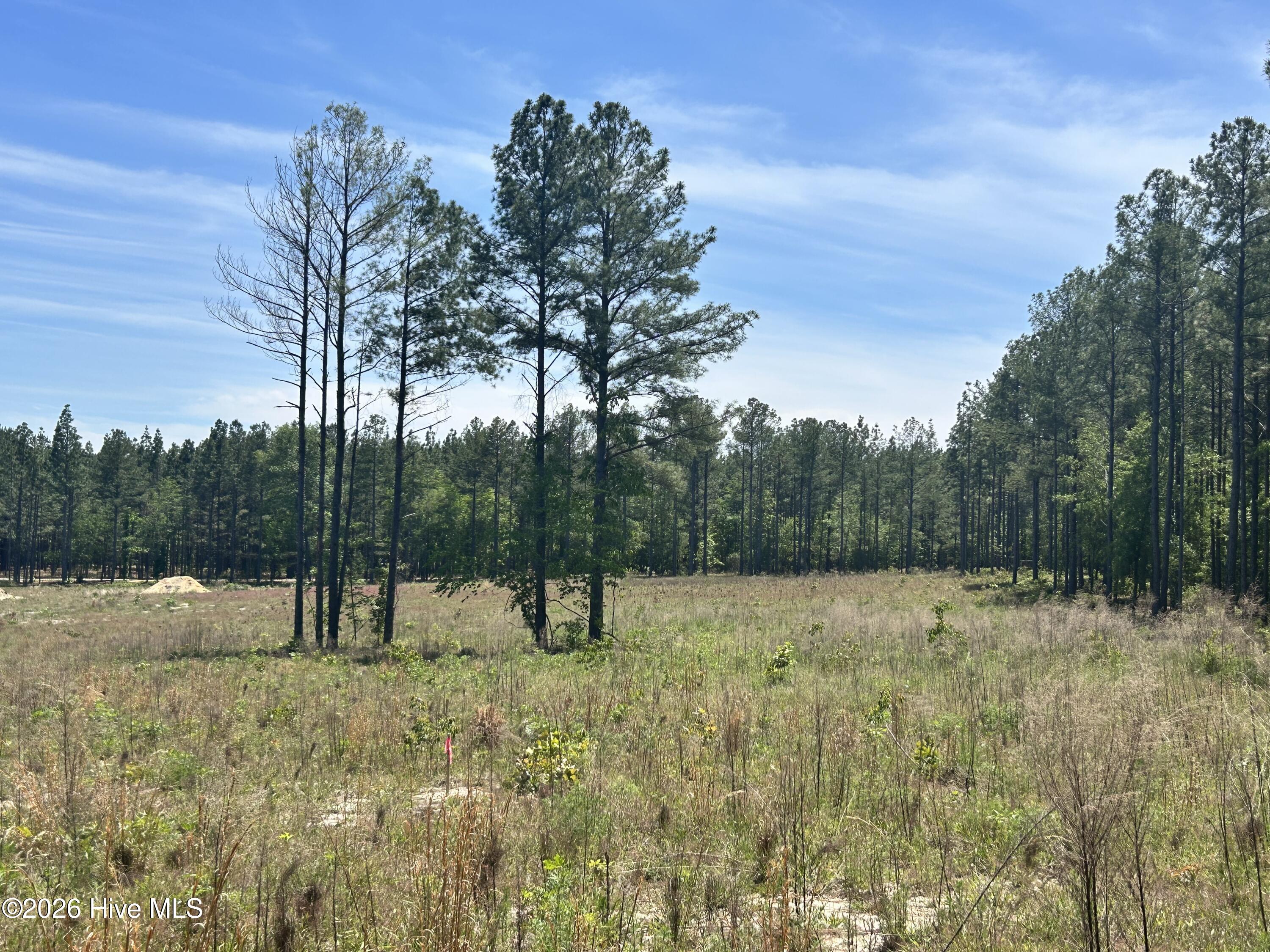 461 Lally Circle Property Photo 3
