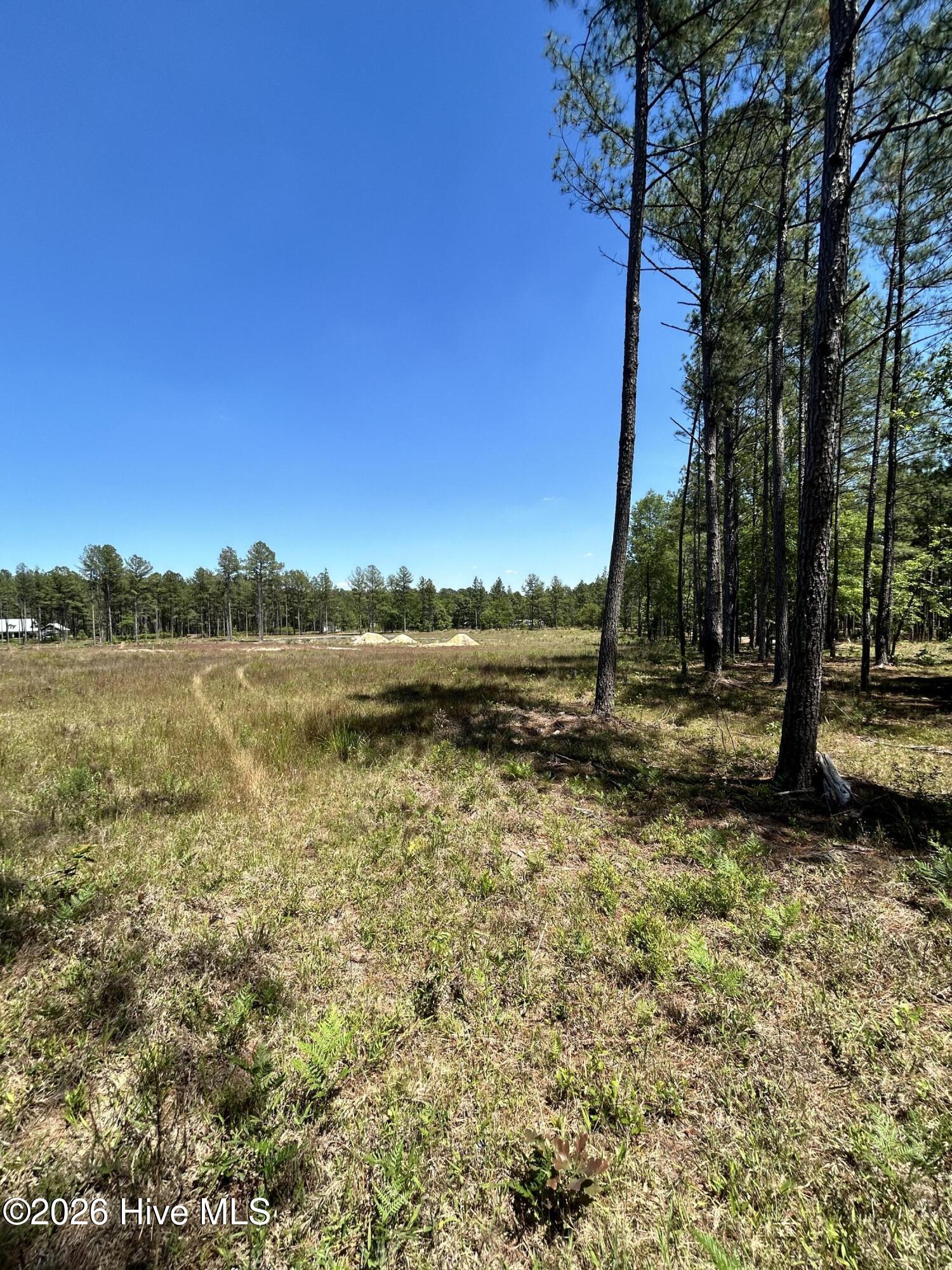 461 Lally Circle Property Photo 4
