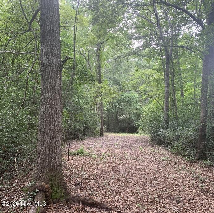 45.22 Ac Atlantic Breeze Drive Property Photo 2
