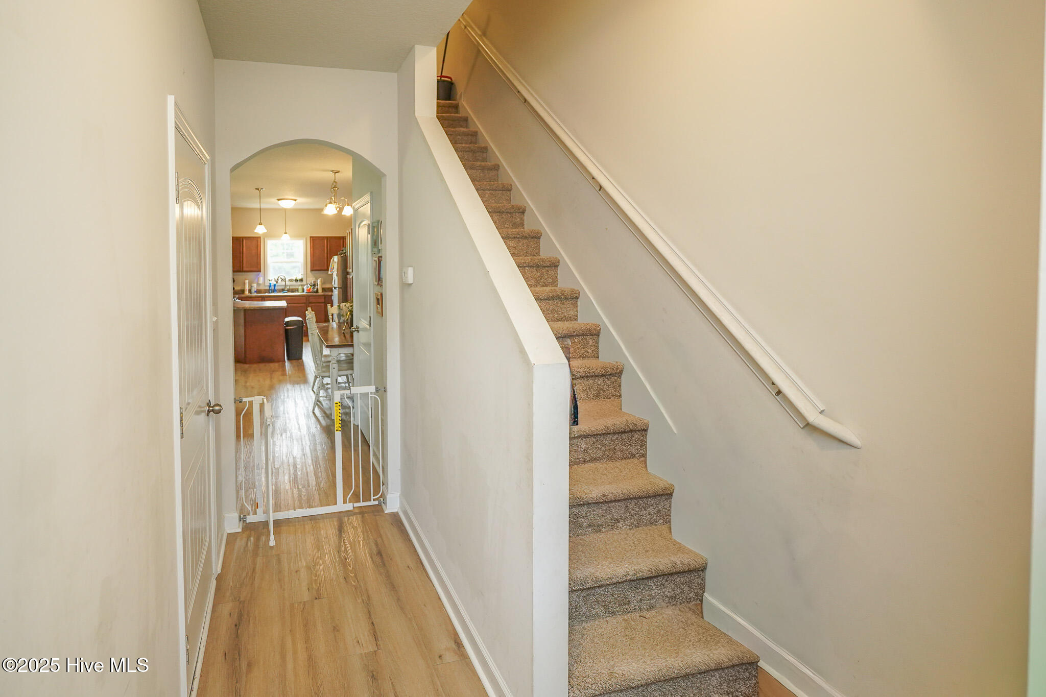 256 Currituck Drive Property Photo 4