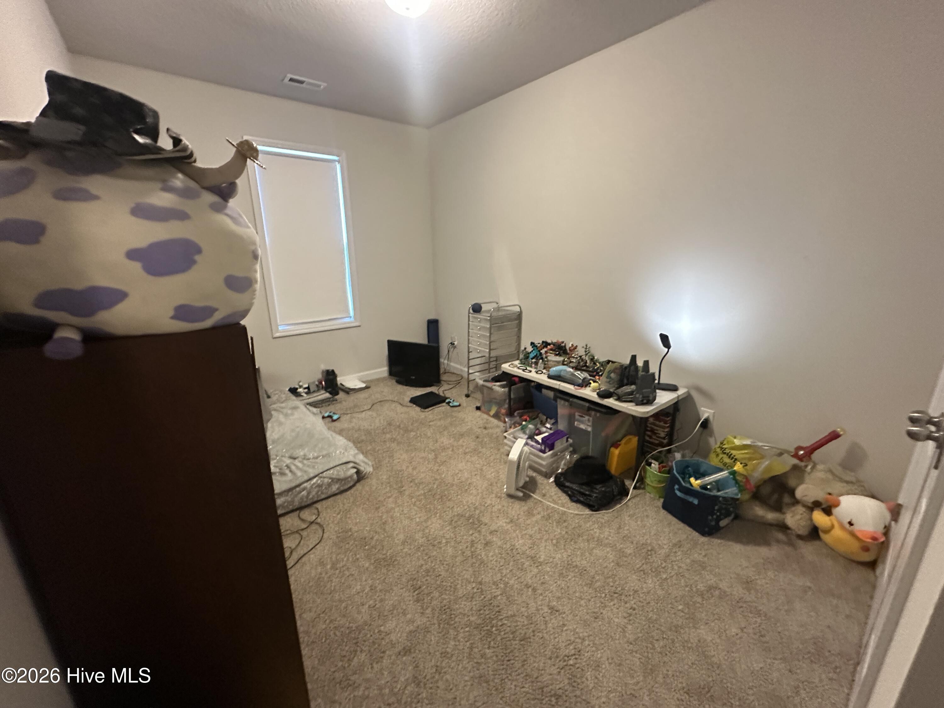 256 Currituck Drive Property Photo 17