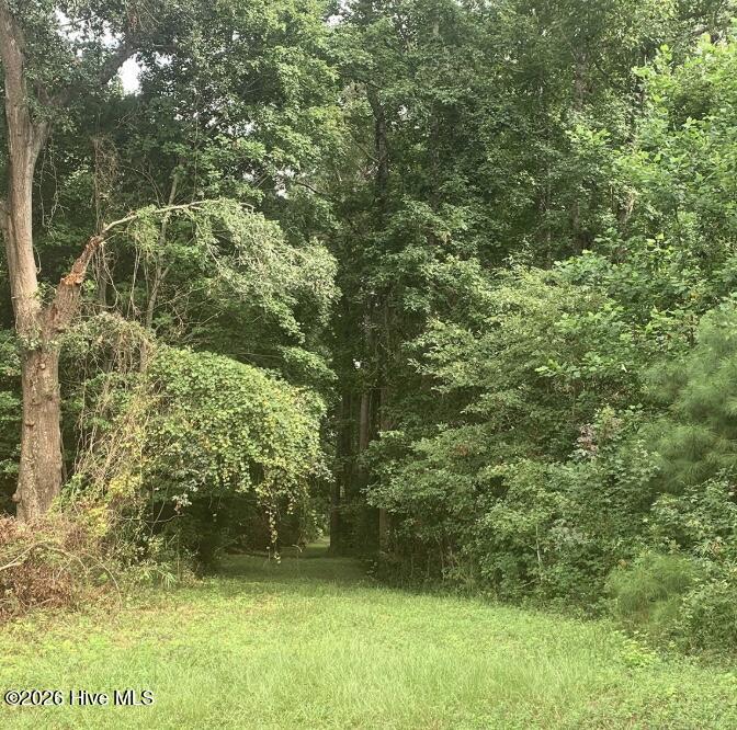 28.53 Ac Old Sanders Drive Property Photo 2