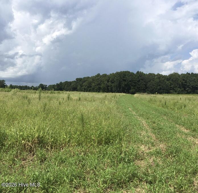 30.42 Ac Atlantic Breeze Drive Property Photo 1