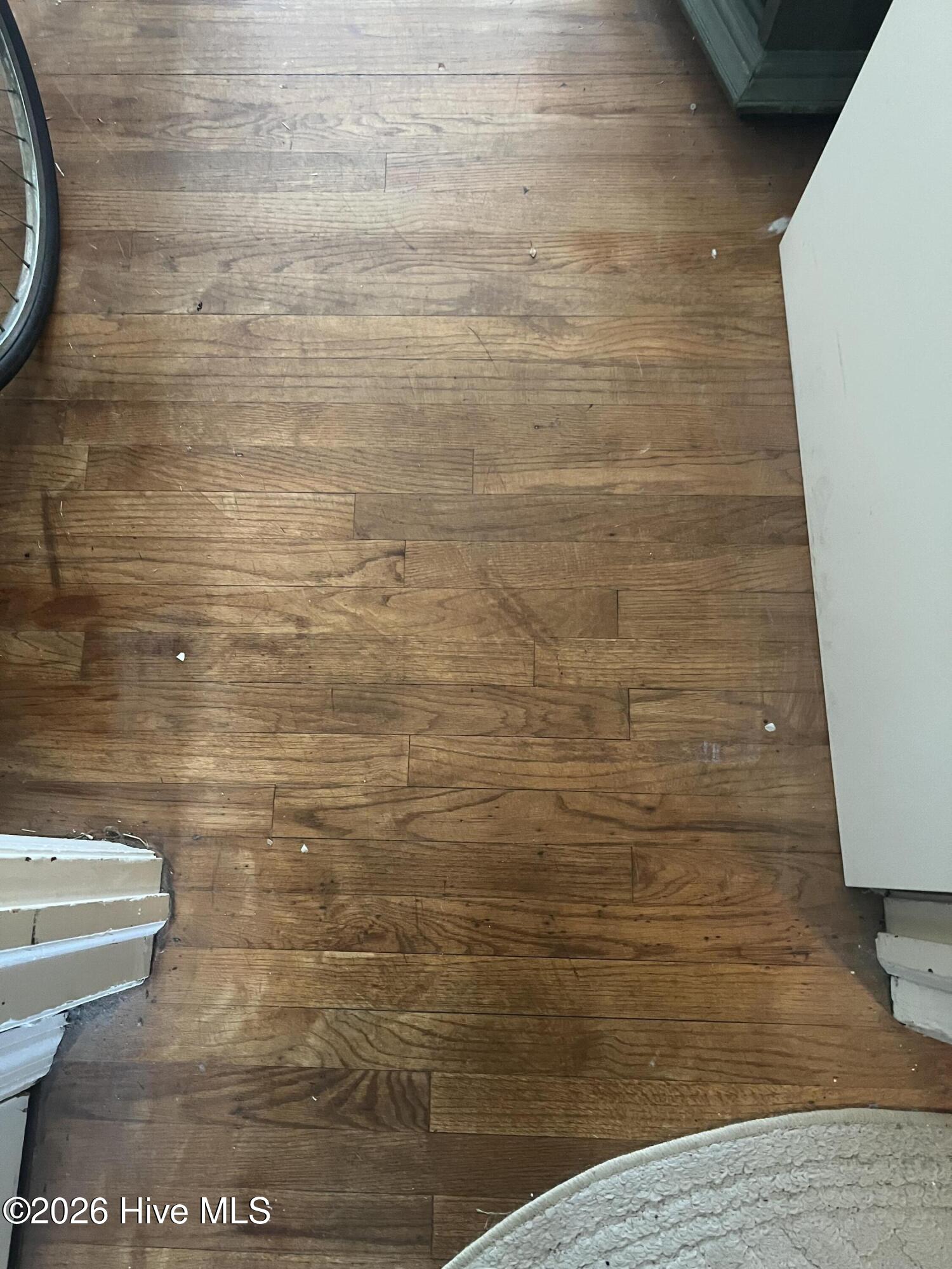 1806 Wilkinson Circle Property Photo 20