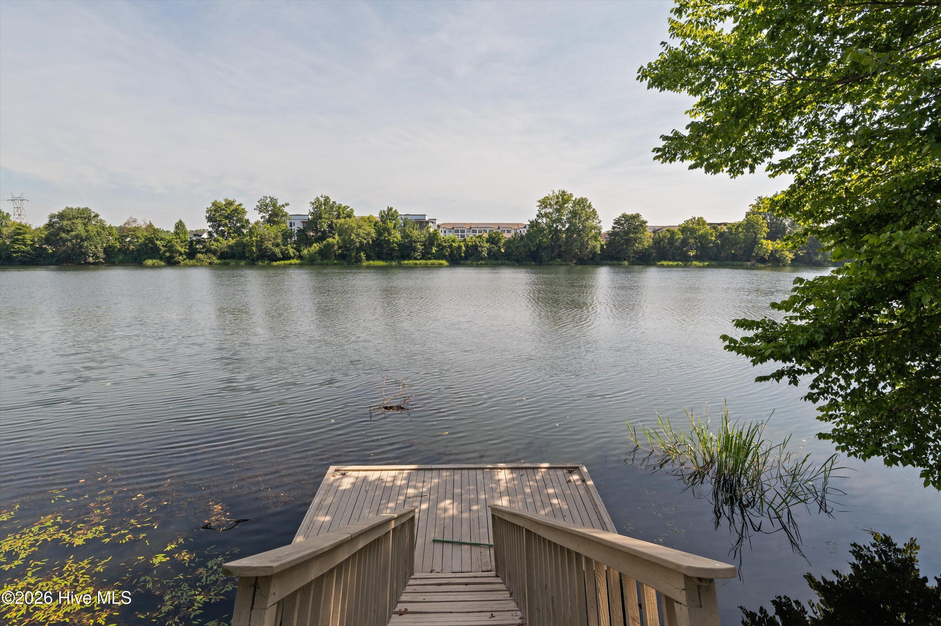 1401 Waters Edge Drive Property Photo 81