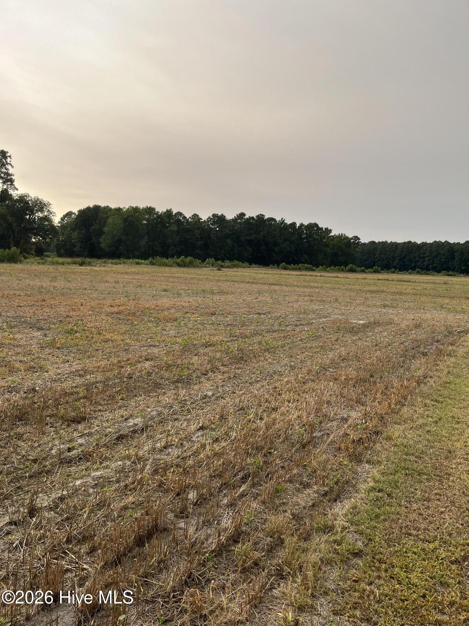 3091 Hudsons Crossroads Road Property Photo 2