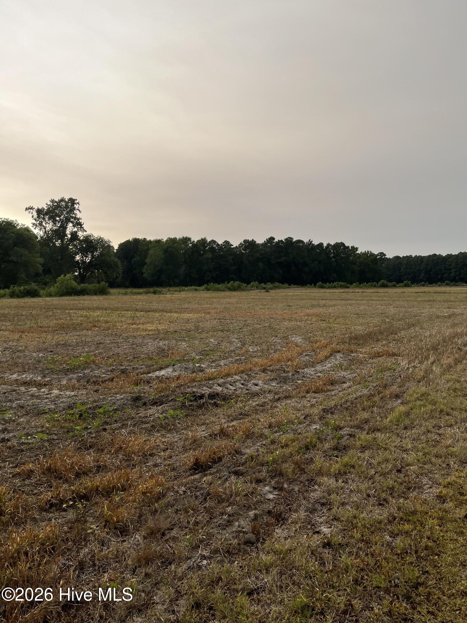 3091 Hudsons Crossroads Road Property Photo 6