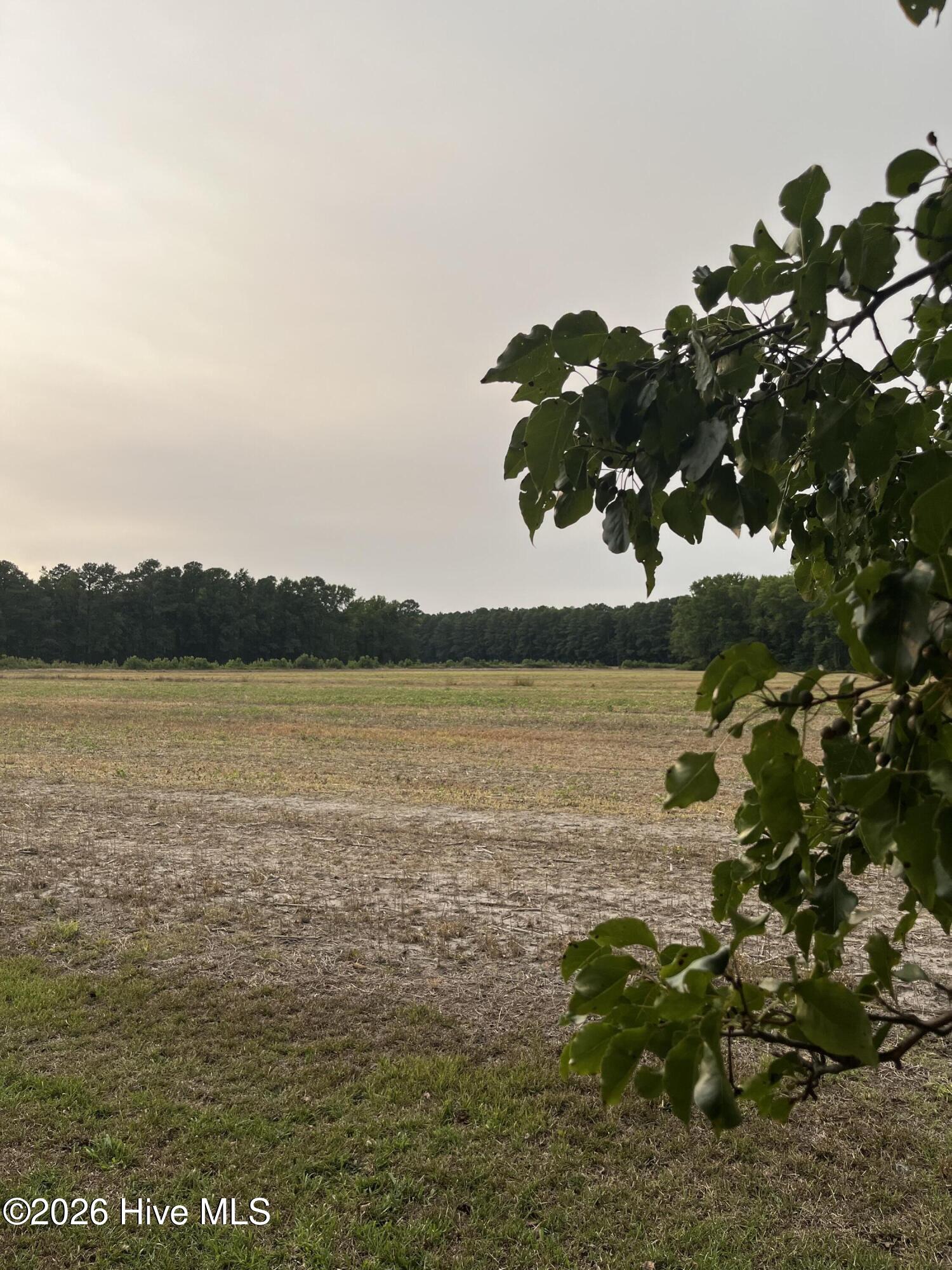 3091 Hudsons Crossroads Road Property Photo 10