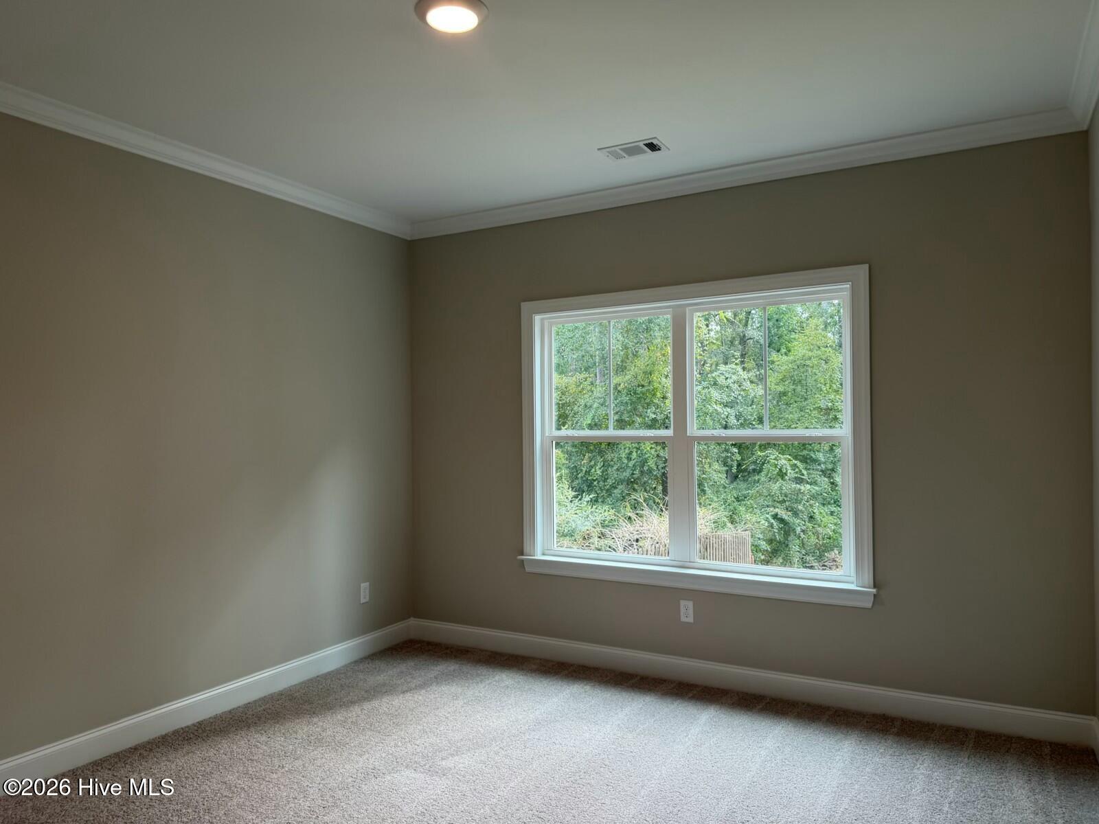 251 Oakbrook Drive Property Photo 16