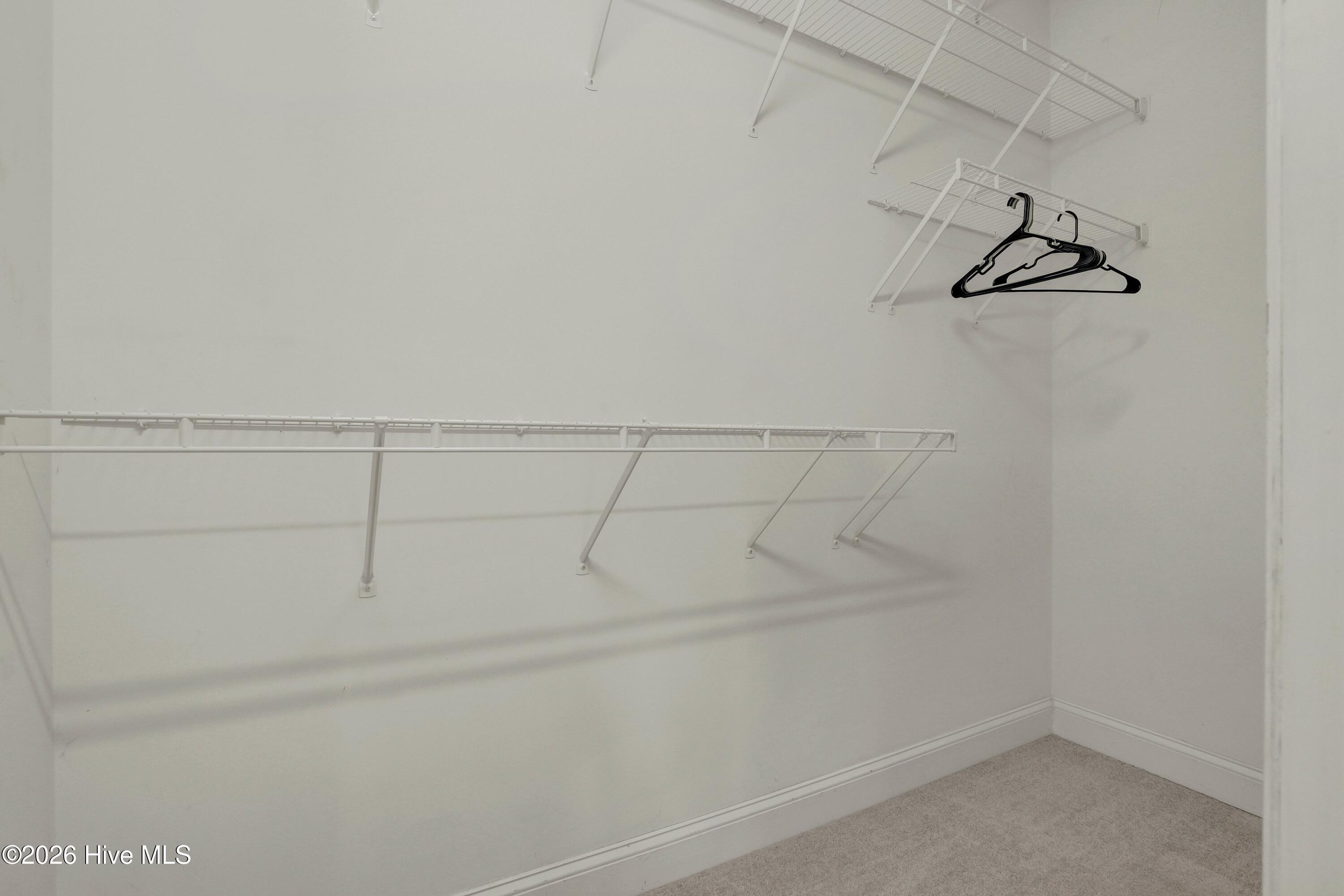 4816 Exton Park Loop Property Photo 19