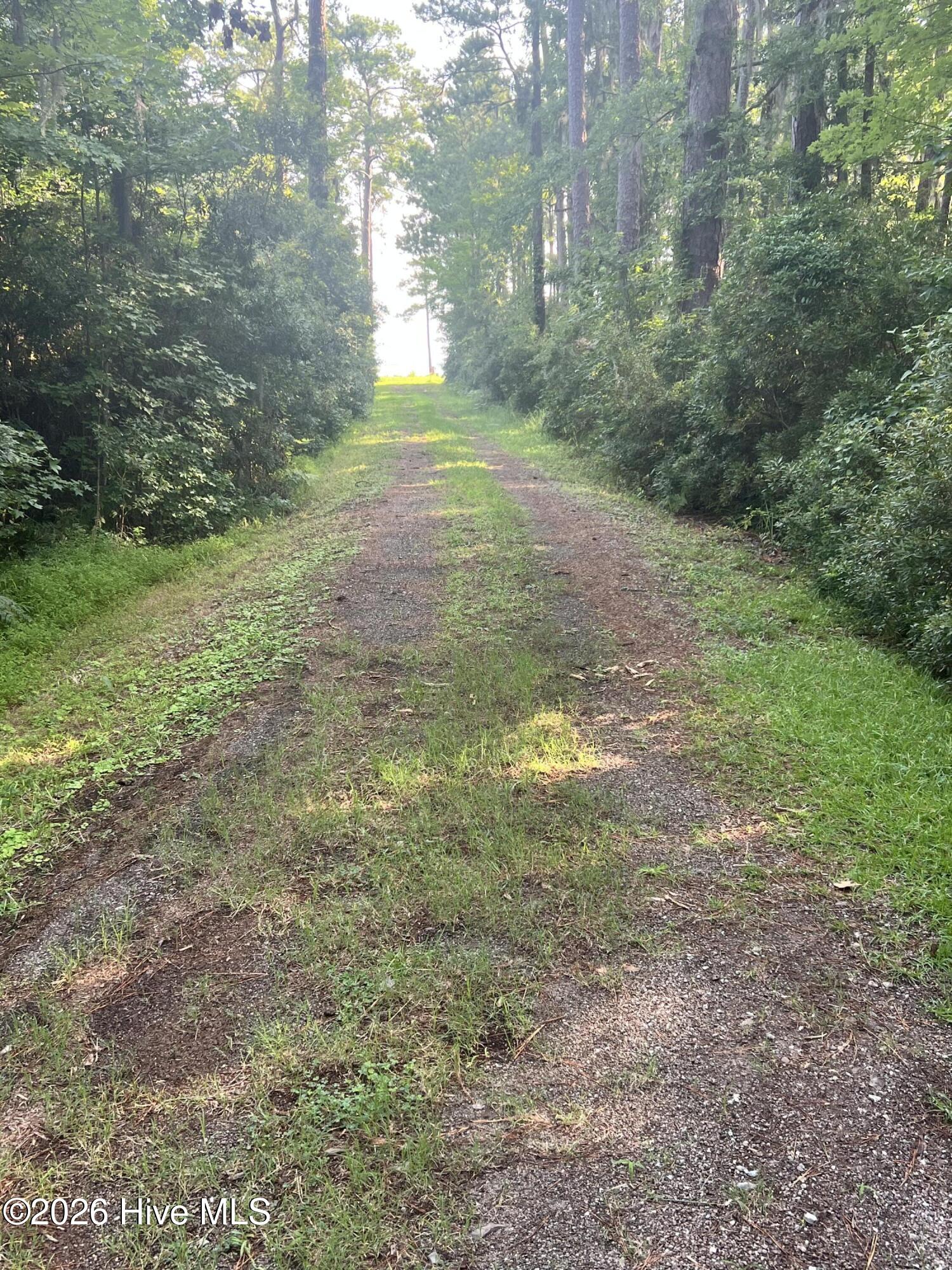 Lot 2 & 3 Strawhorn Creek Road Property Photo 5