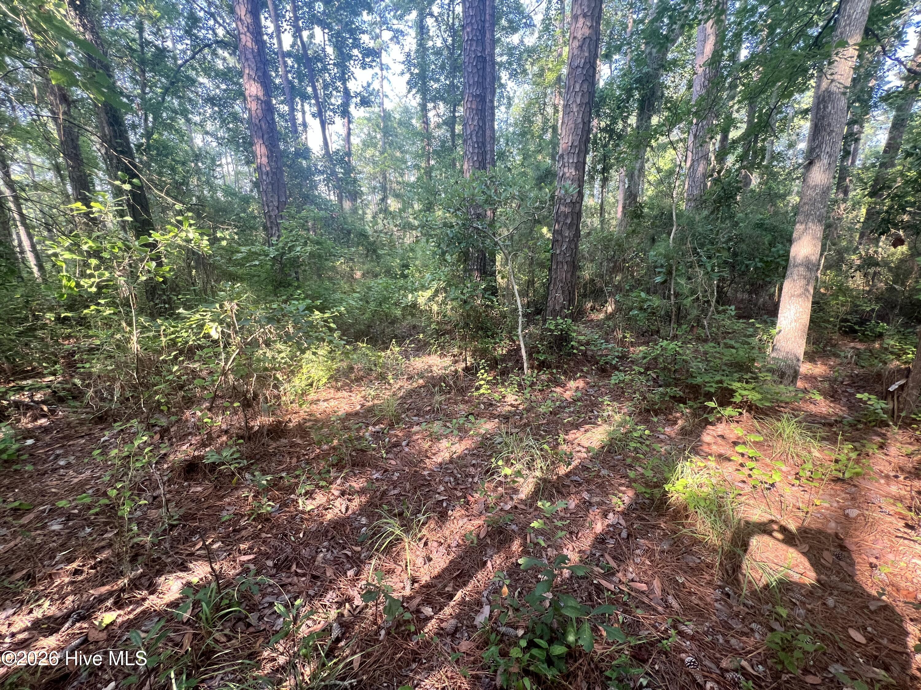 Lot 2 & 3 Strawhorn Creek Road Property Photo 10