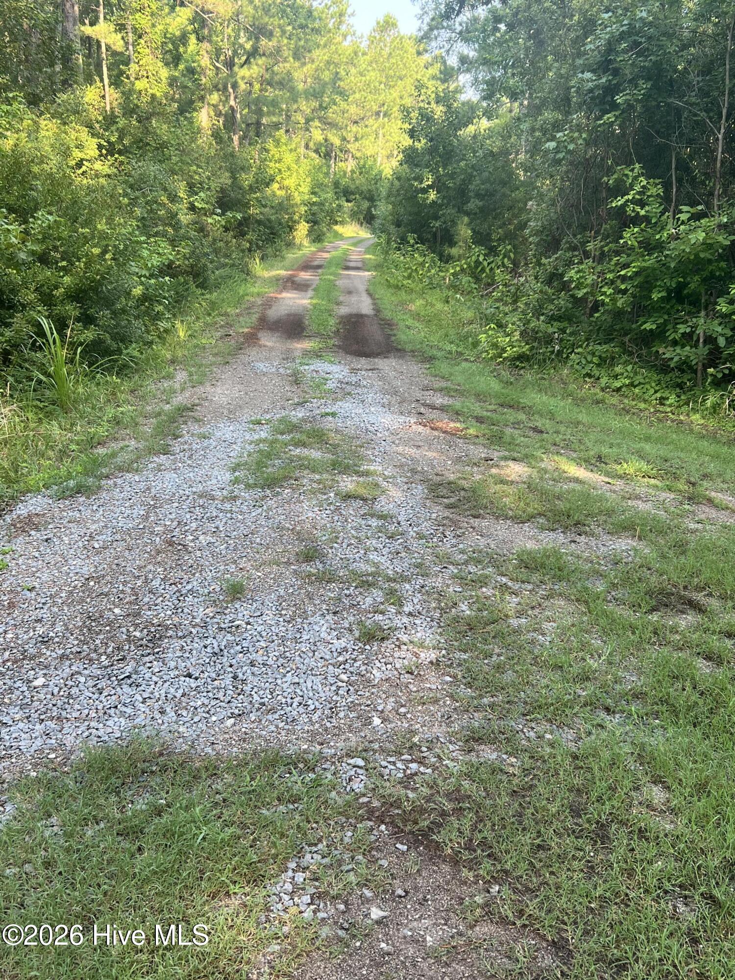 Lot 2 & 3 Strawhorn Creek Road Property Photo 11
