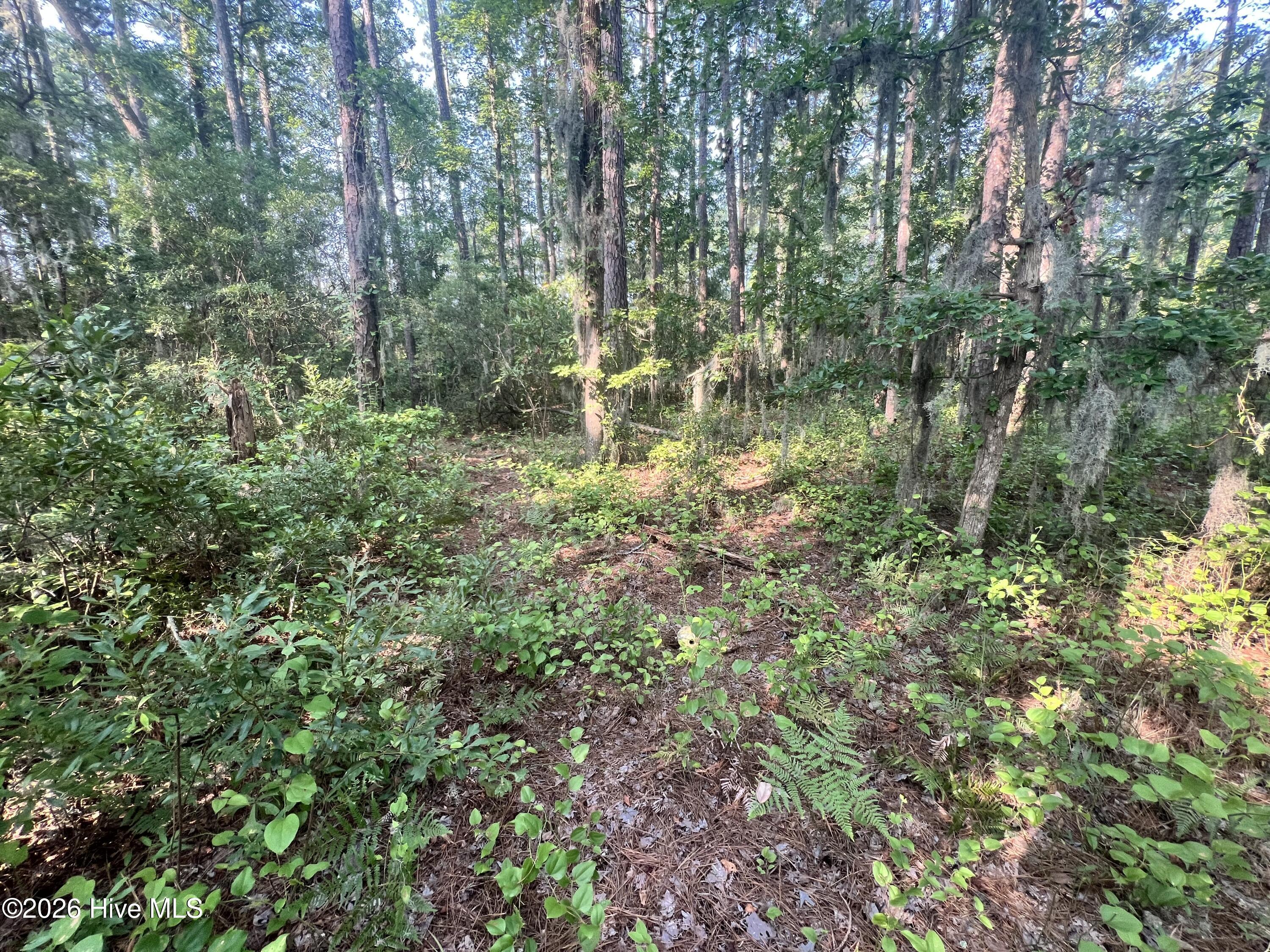 Lot 2 & 3 Strawhorn Creek Road Property Photo 12