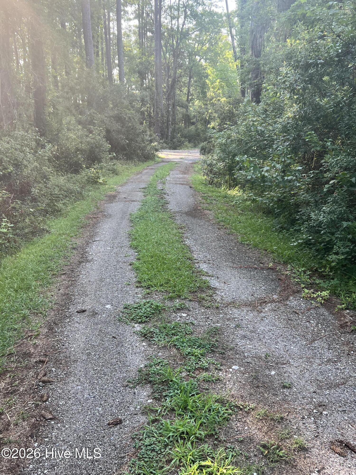 Lot 2 & 3 Strawhorn Creek Road Property Photo 13