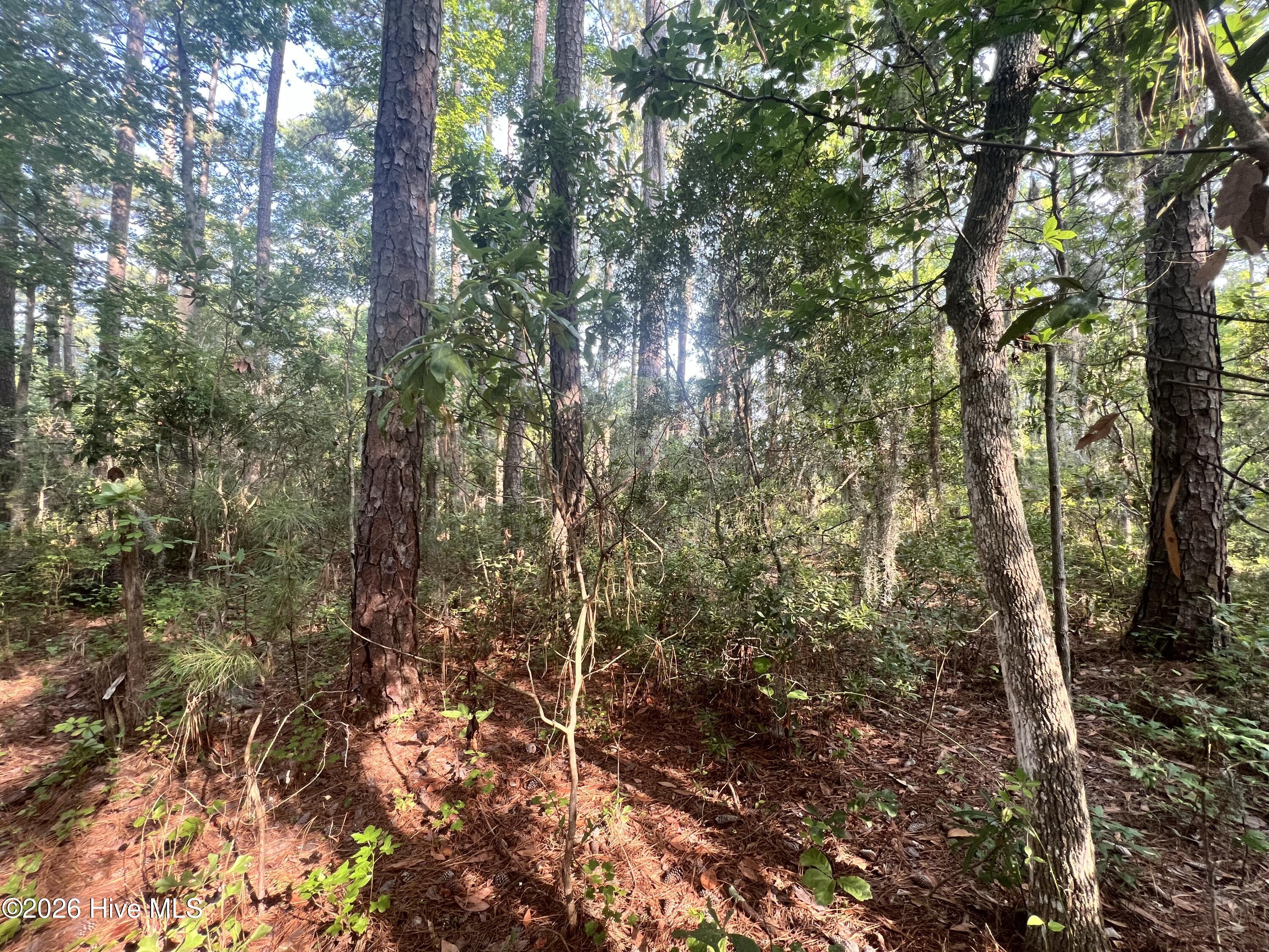Lot 2 & 3 Strawhorn Creek Road Property Photo 15