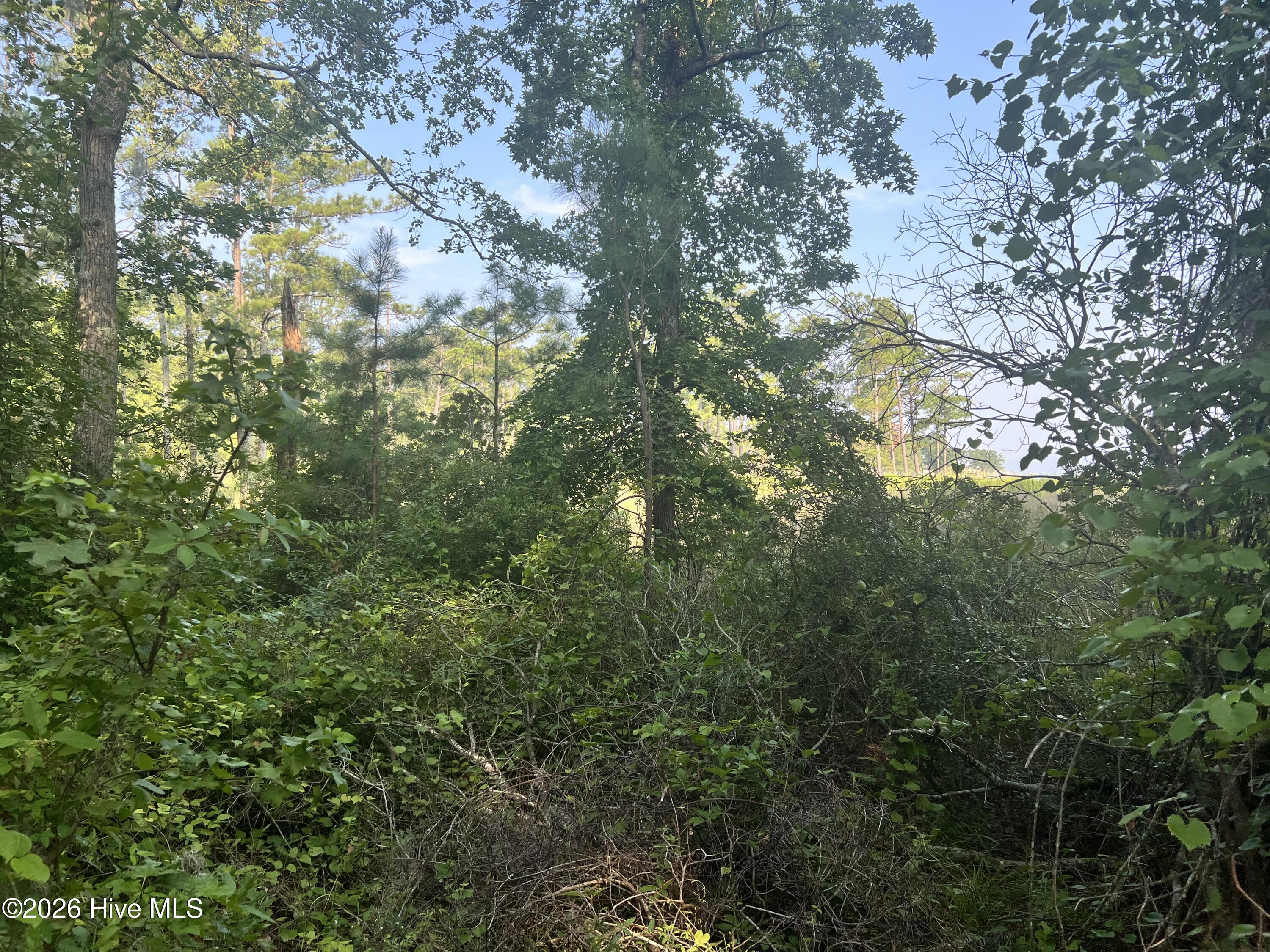 Lot 2 & 3 Strawhorn Creek Road Property Photo 16