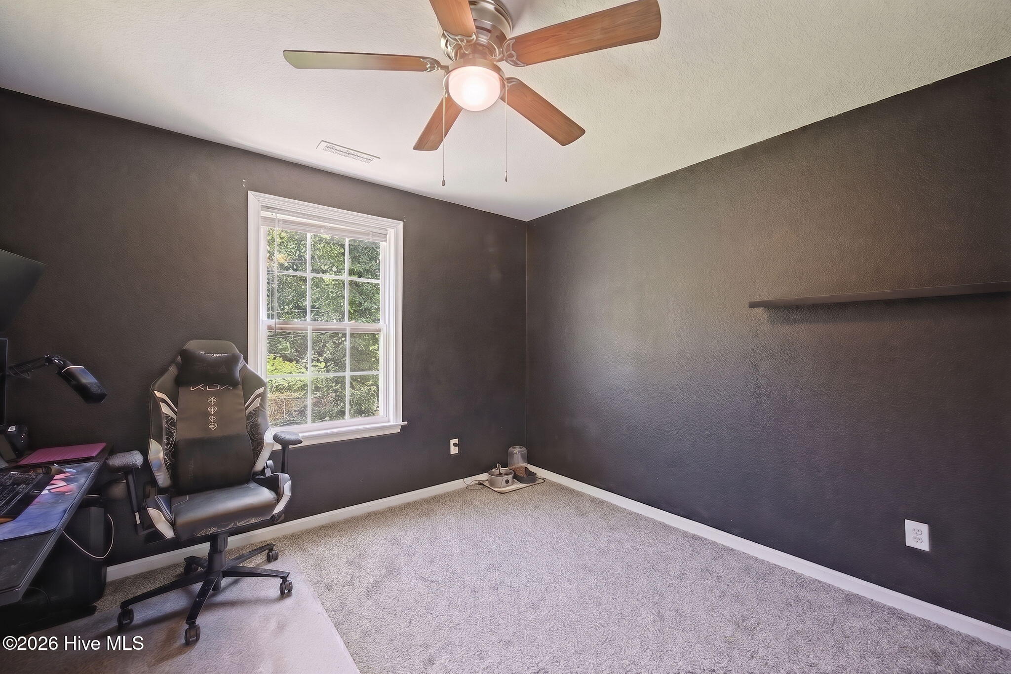 111 Halstead Drive Property Photo 27