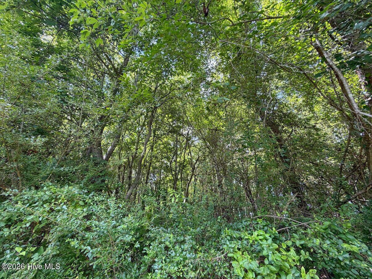 03 Titan Roberts Road Property Photo 10