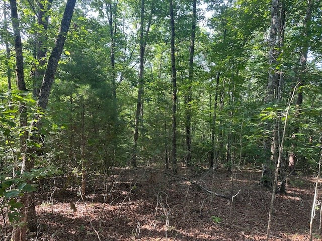 Lot 208 28 Boulder Creek Road Property Photo 4