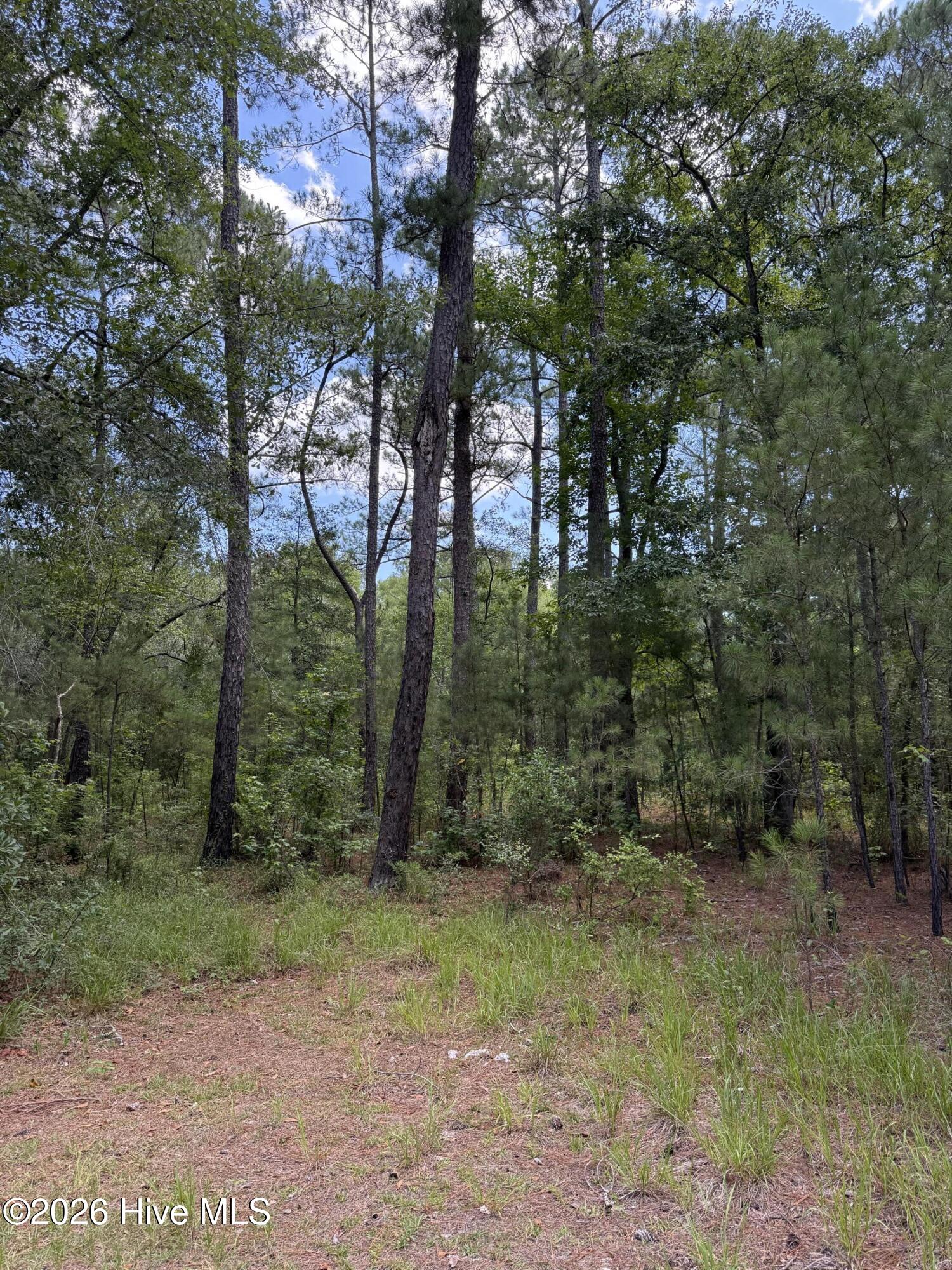532 Old Hoover Bridge Road Property Photo 3