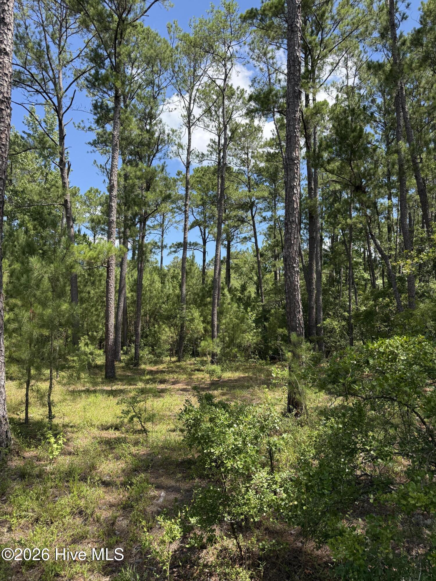 532 Old Hoover Bridge Road Property Photo 4