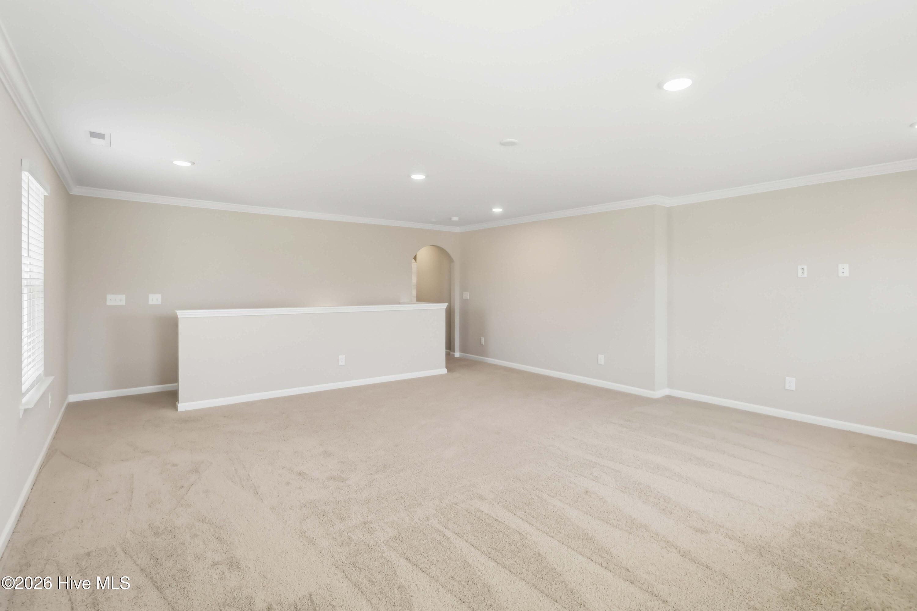 236 Curling Creek Drive Property Photo 18