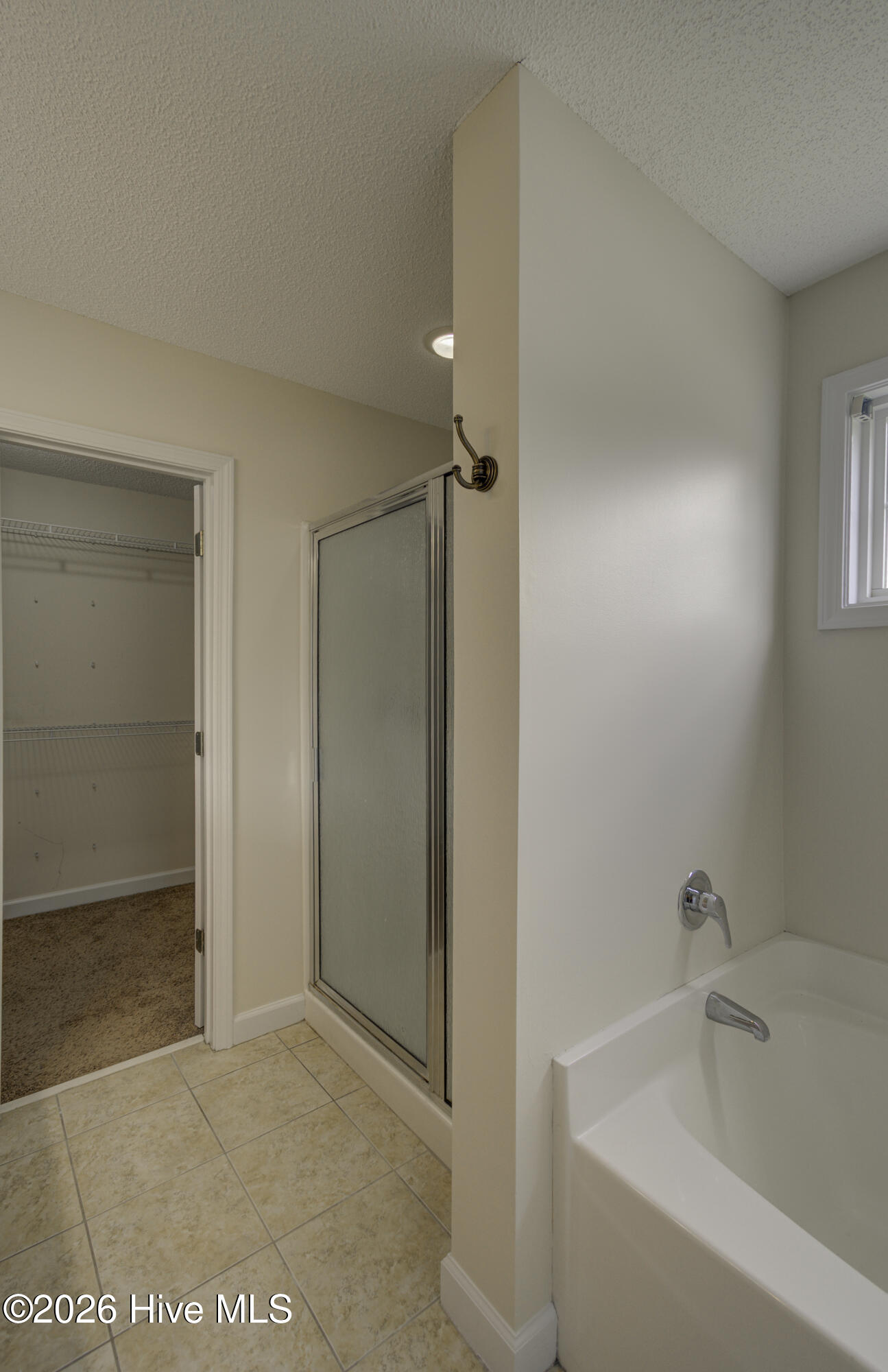 318 Osprey Point Drive Property Photo 43