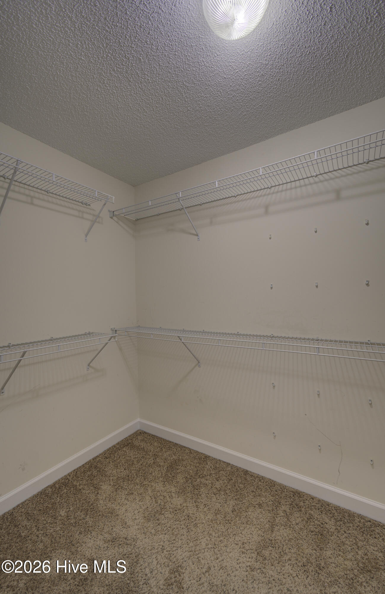 318 Osprey Point Drive Property Photo 44