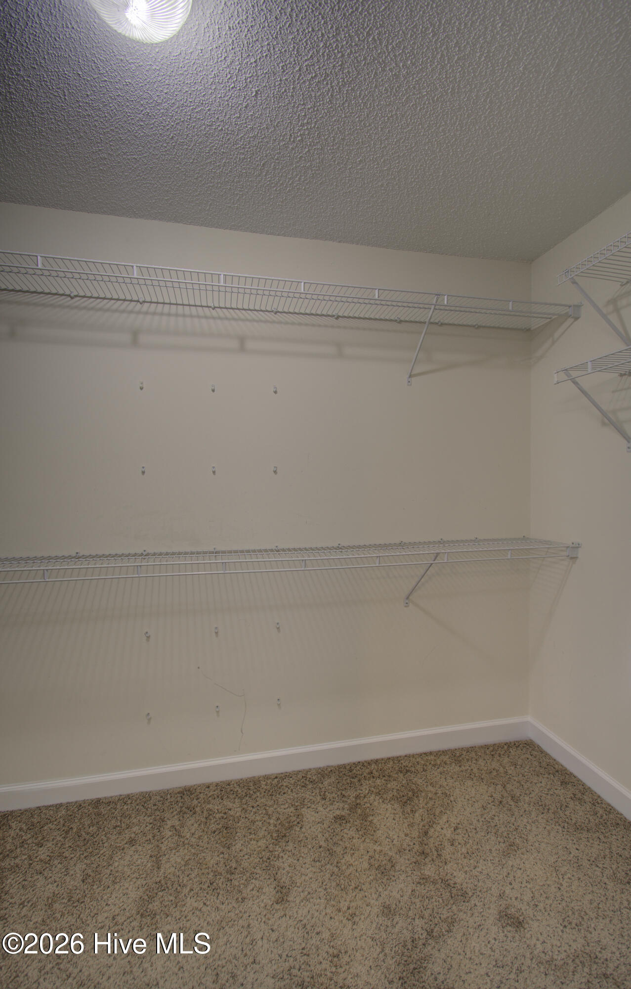 318 Osprey Point Drive Property Photo 45