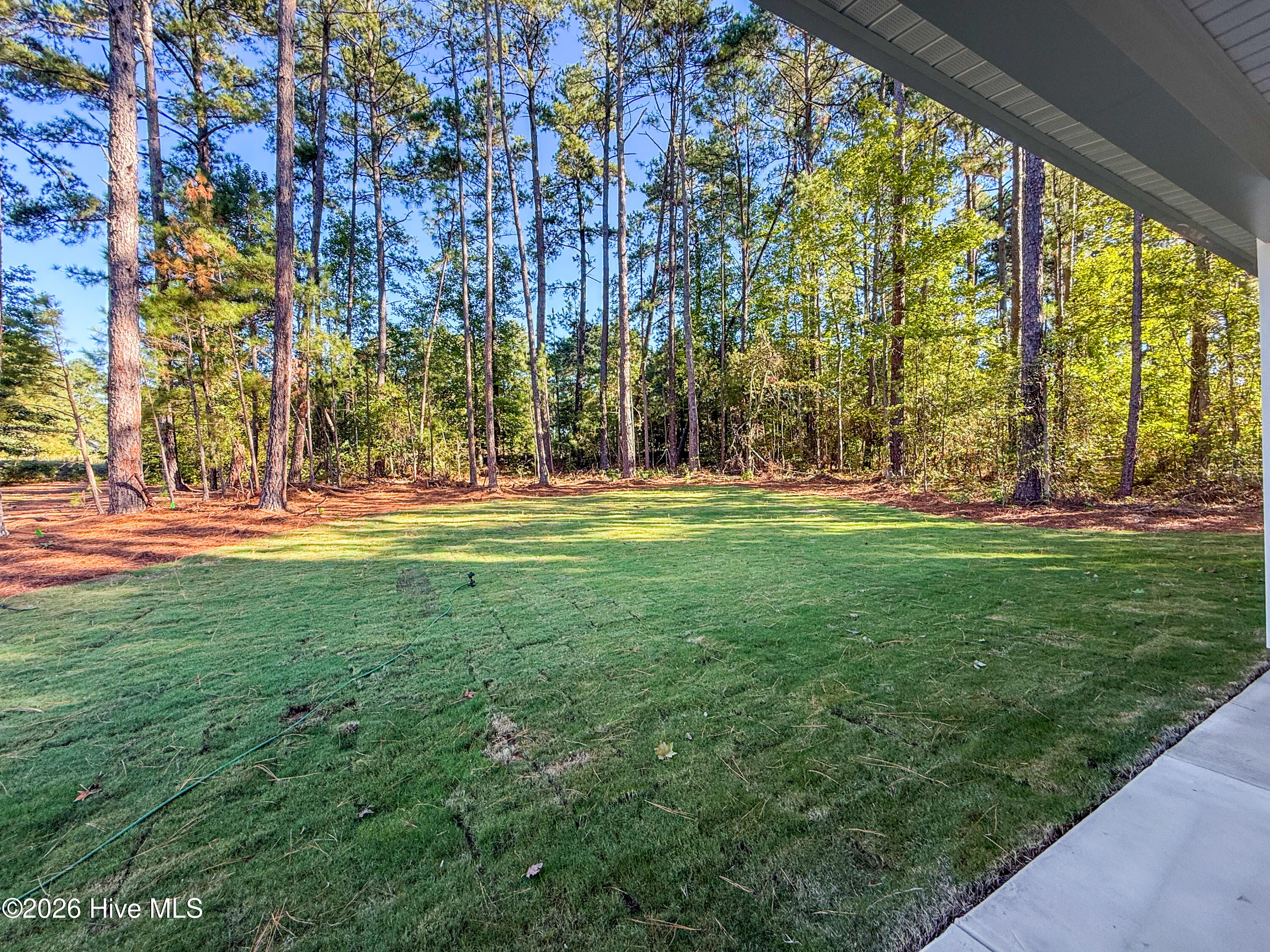 159 Laurel Oak Lane Property Photo 4