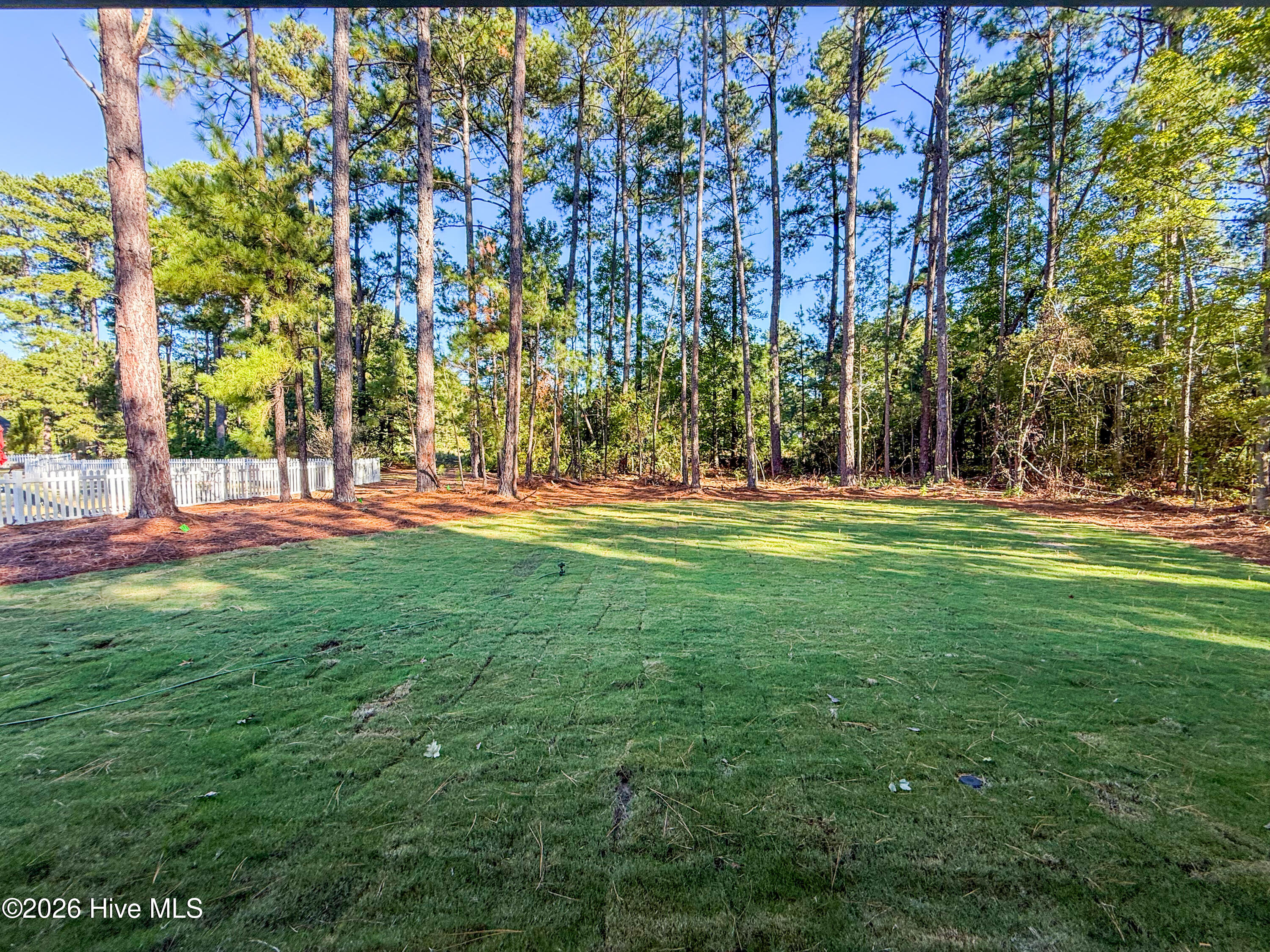 159 Laurel Oak Lane Property Photo 5