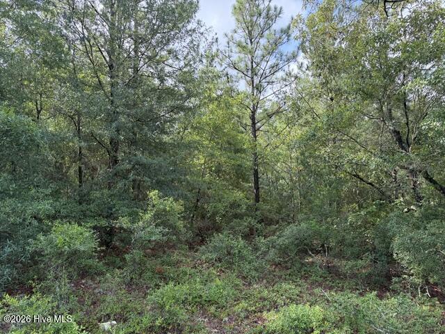 0 N Us Hwy 1 Property Photo 6