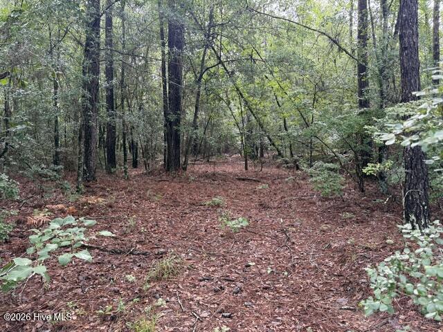 0 N Us Hwy 1 Property Photo 11