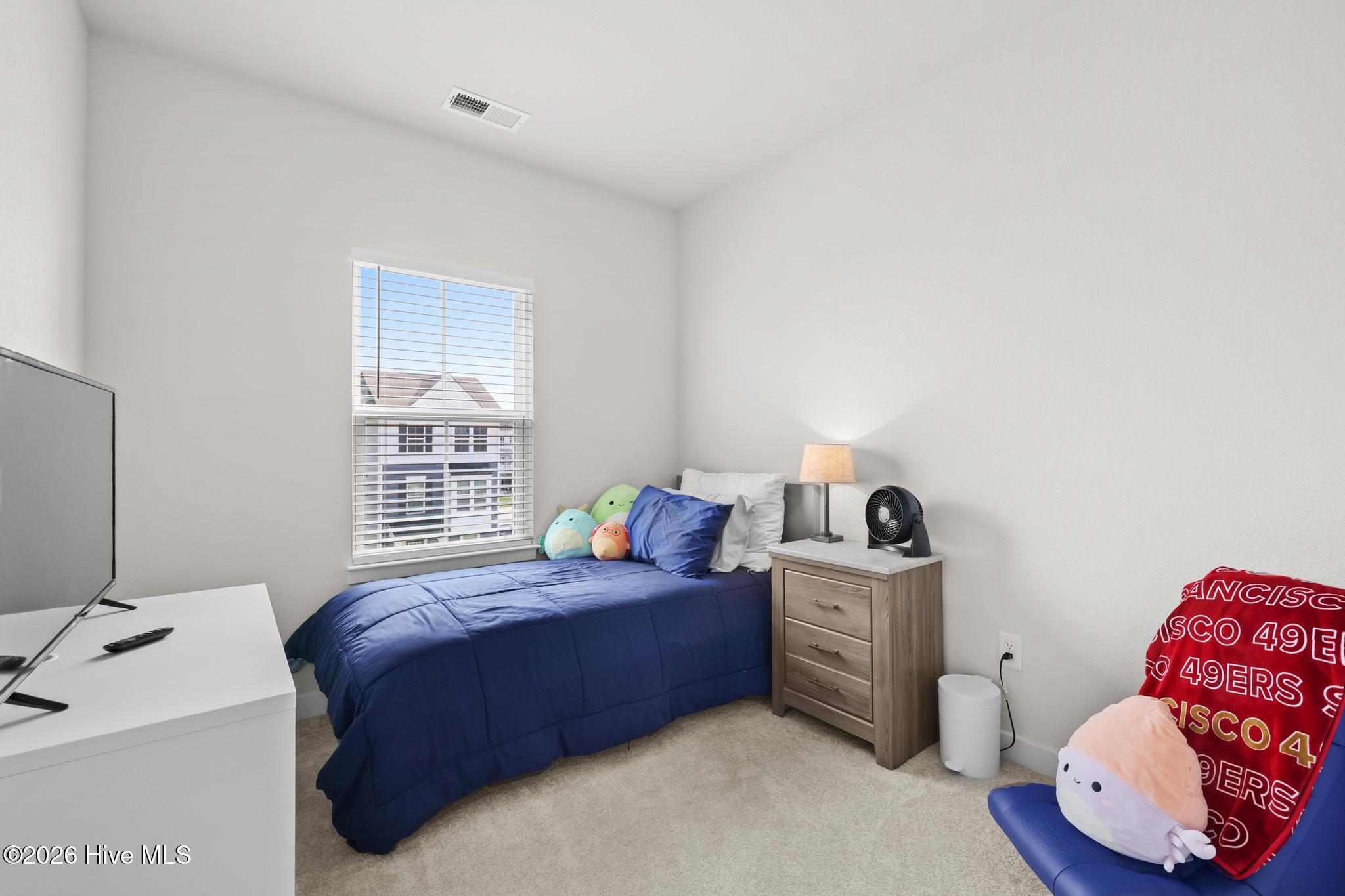 207 Oconner Street Property Photo 33
