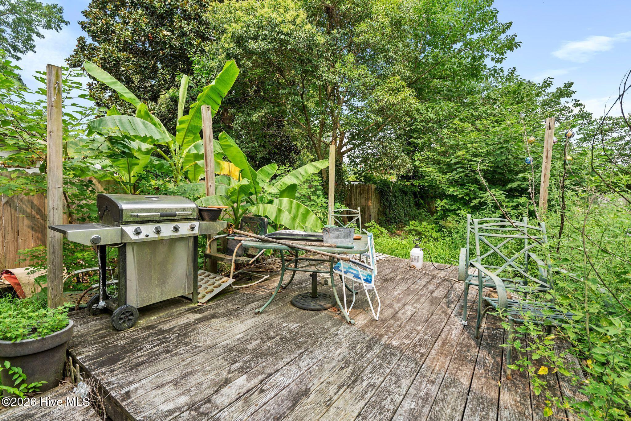 216 Fleming Street Property Photo 49
