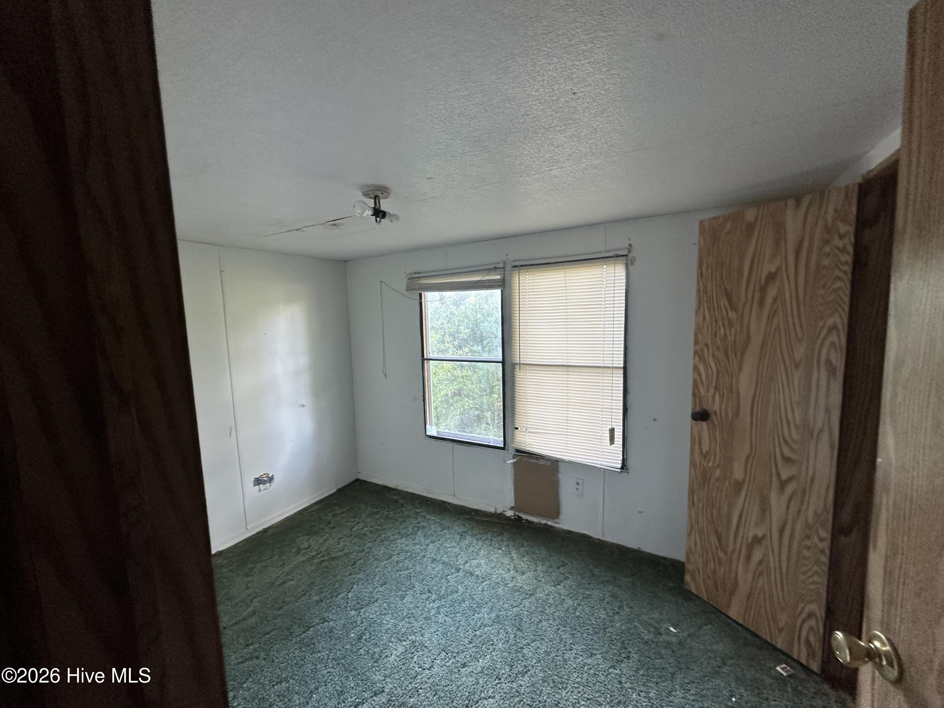 108 Arthur Majette Road Property Photo 5
