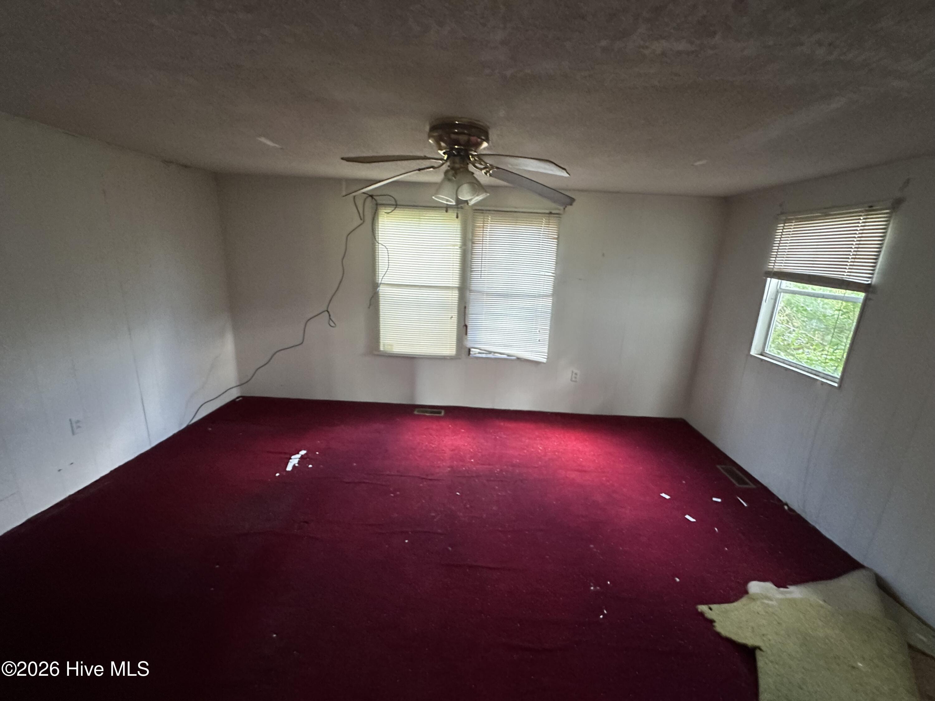 108 Arthur Majette Road Property Photo 7