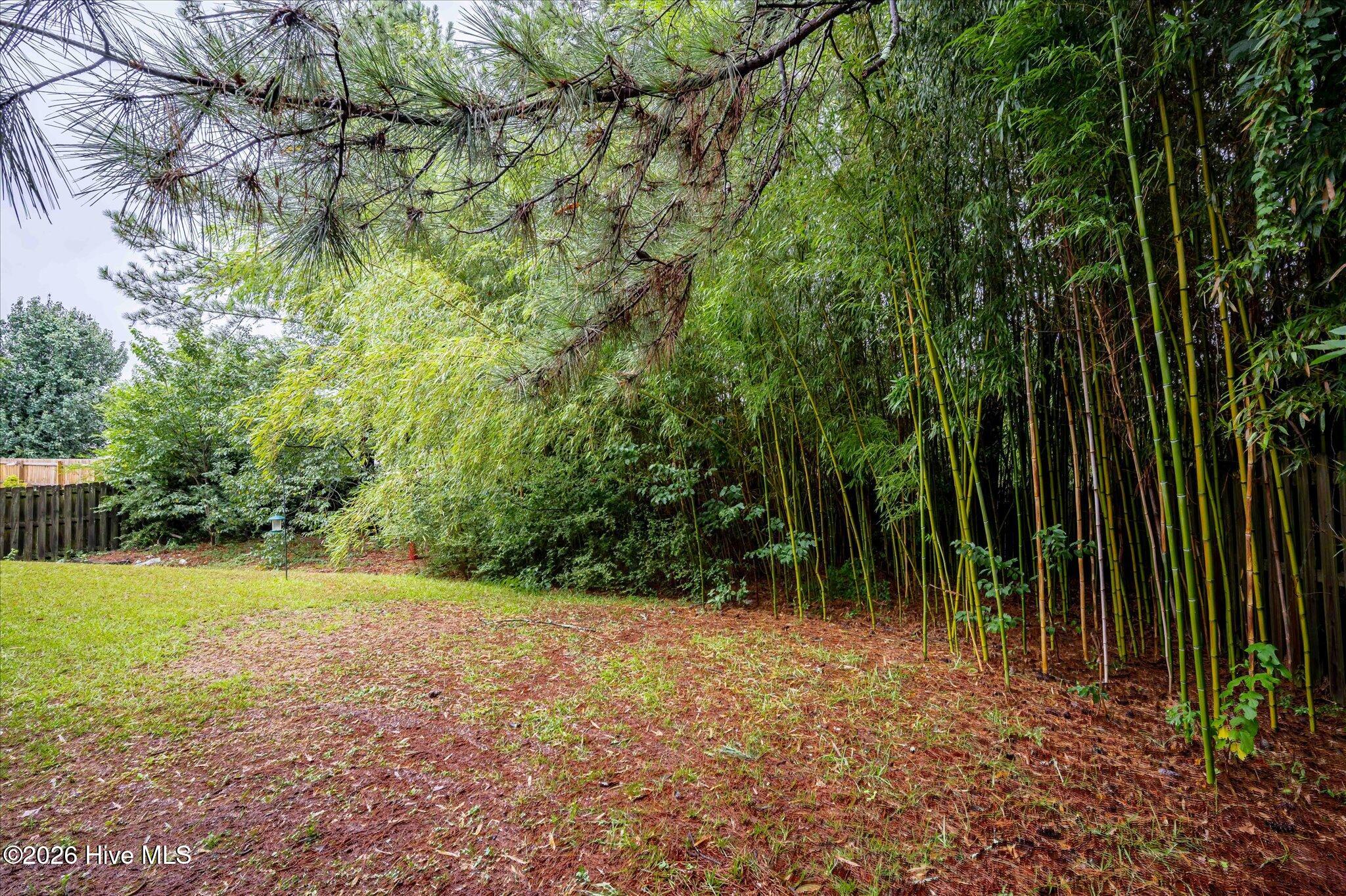1104 Hunters Cove Property Photo 33