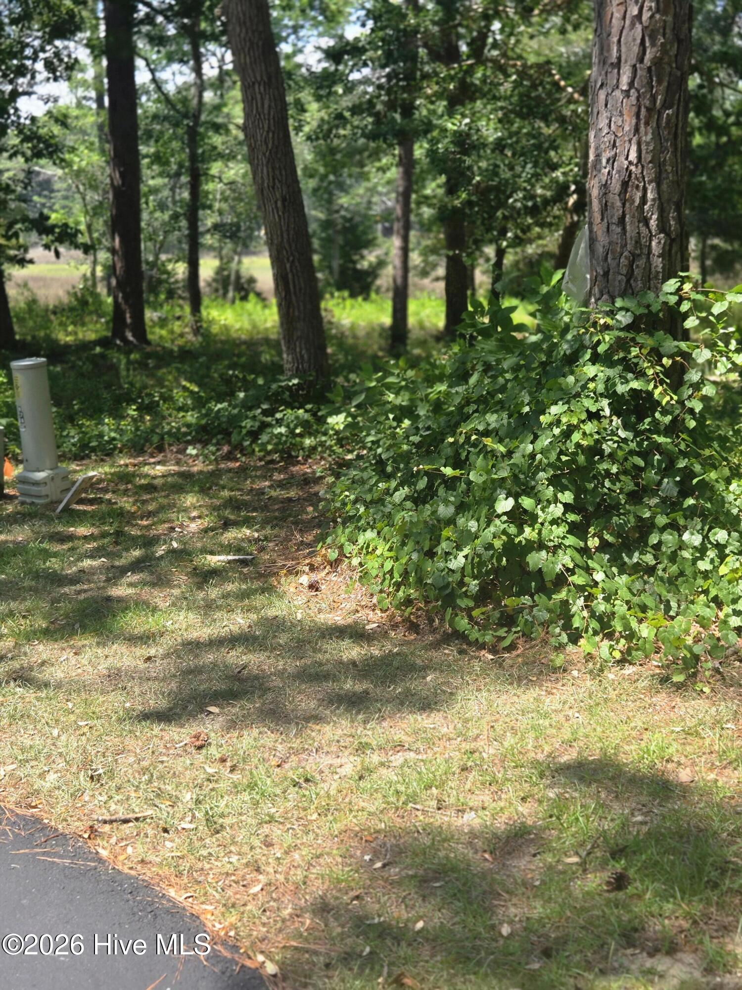 3179 71 Mullet Creek Place Se Property Photo 2