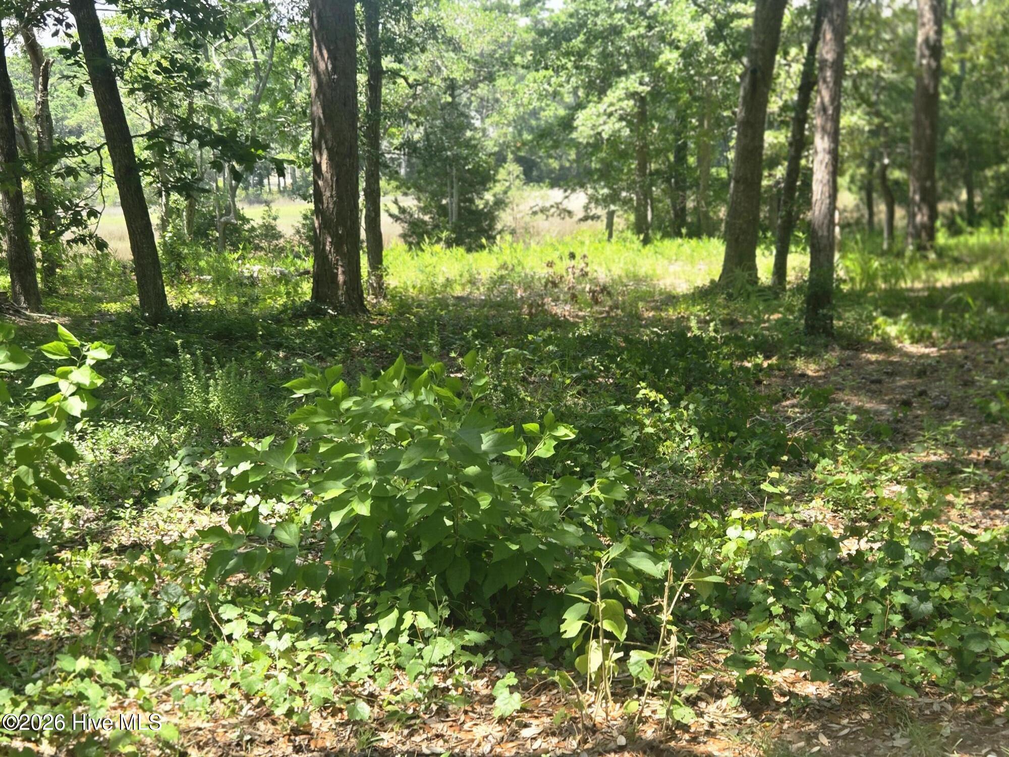 3179 71 Mullet Creek Place Se Property Photo 3