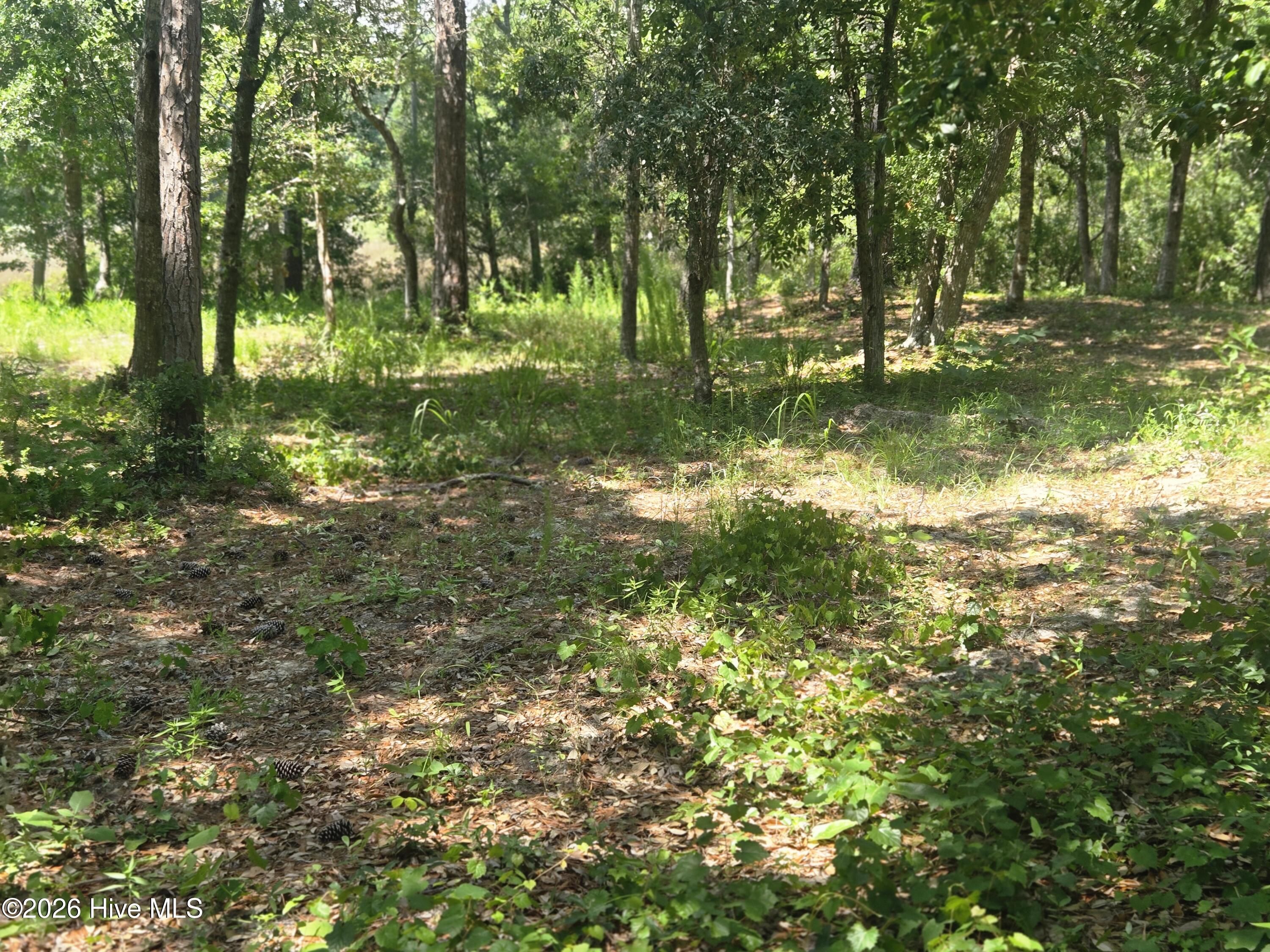 3179 71 Mullet Creek Place Se Property Photo 5