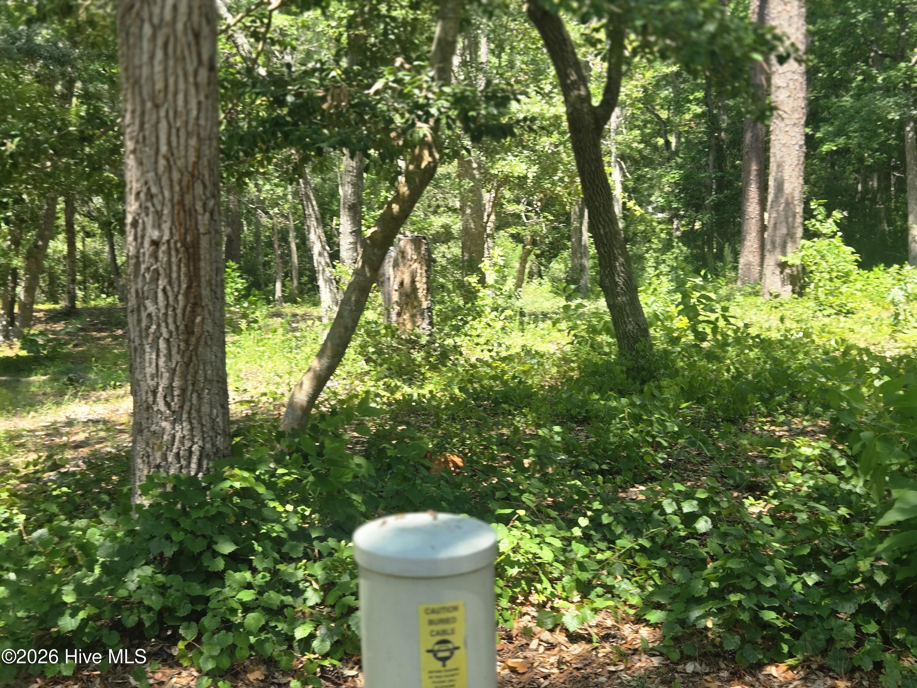 3179 71 Mullet Creek Place Se Property Photo 6